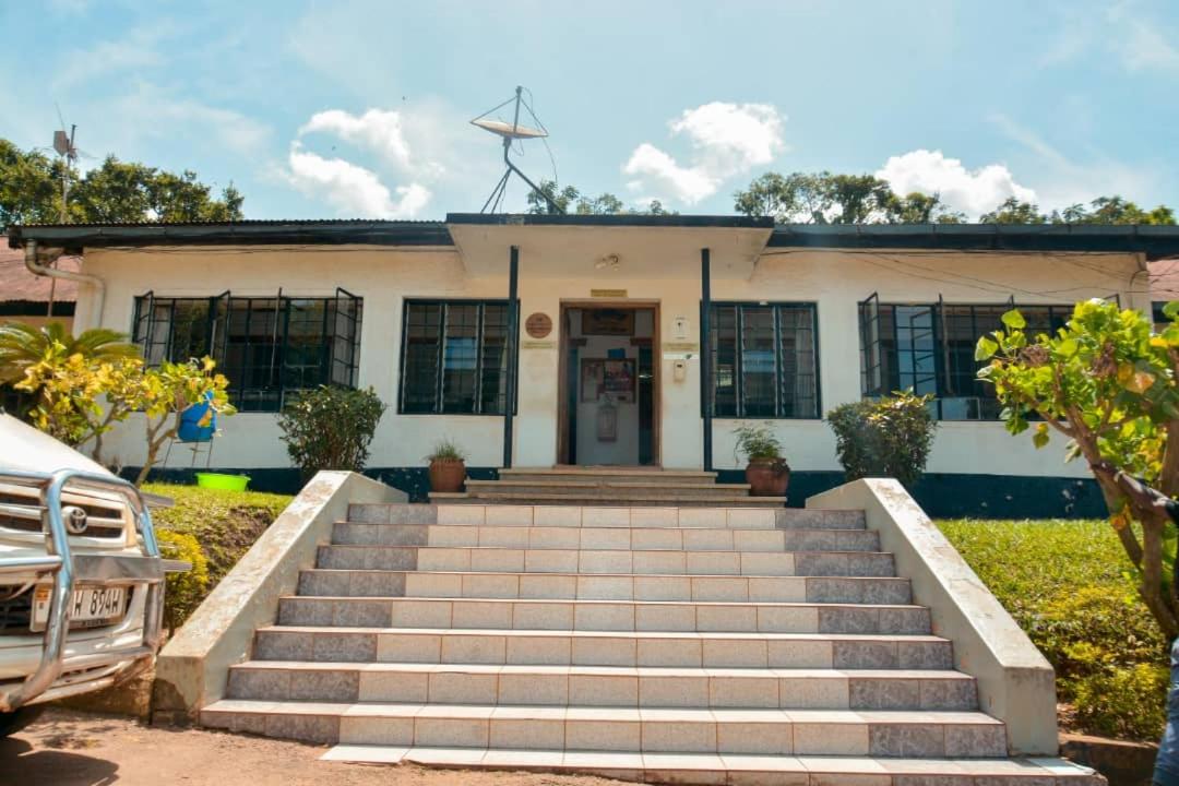 MAKERERE UNIVERSITY GUEST HOUSE — photo 31