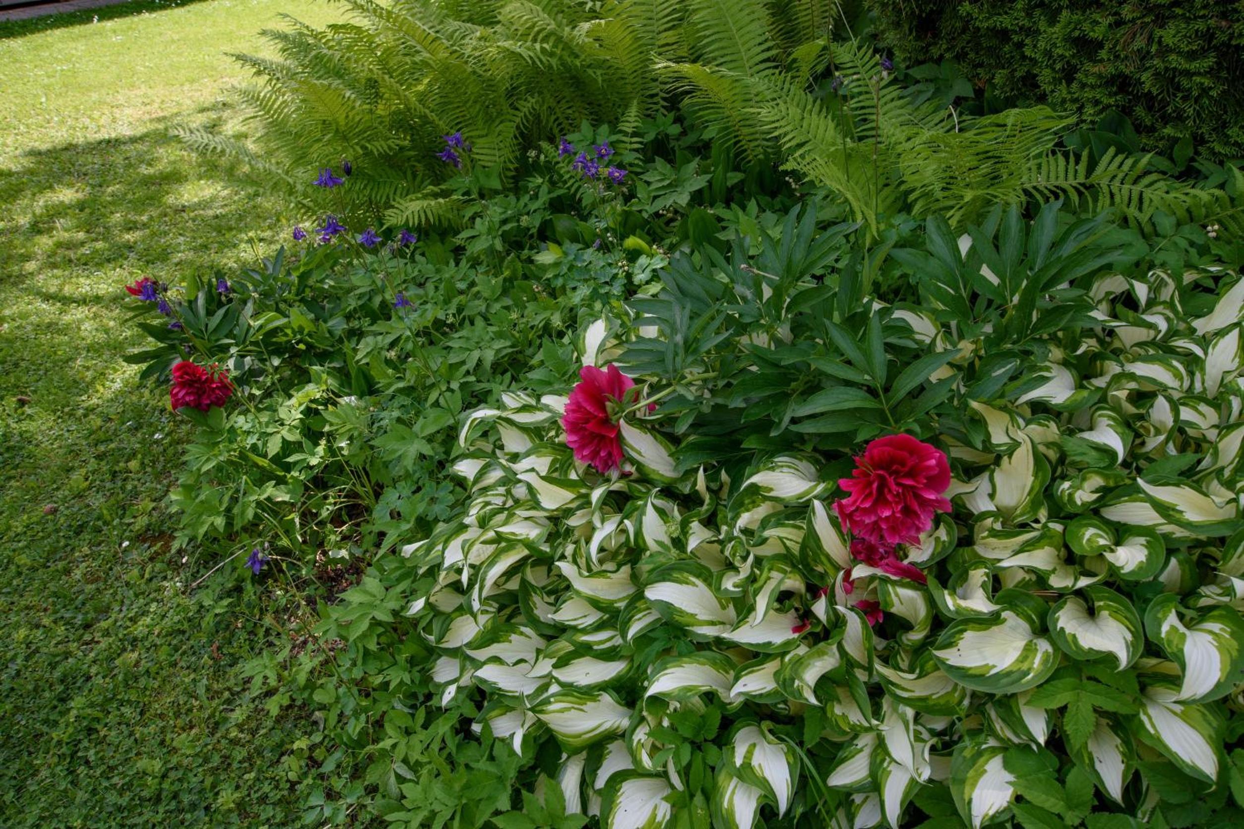 Garten Appartement Harmony