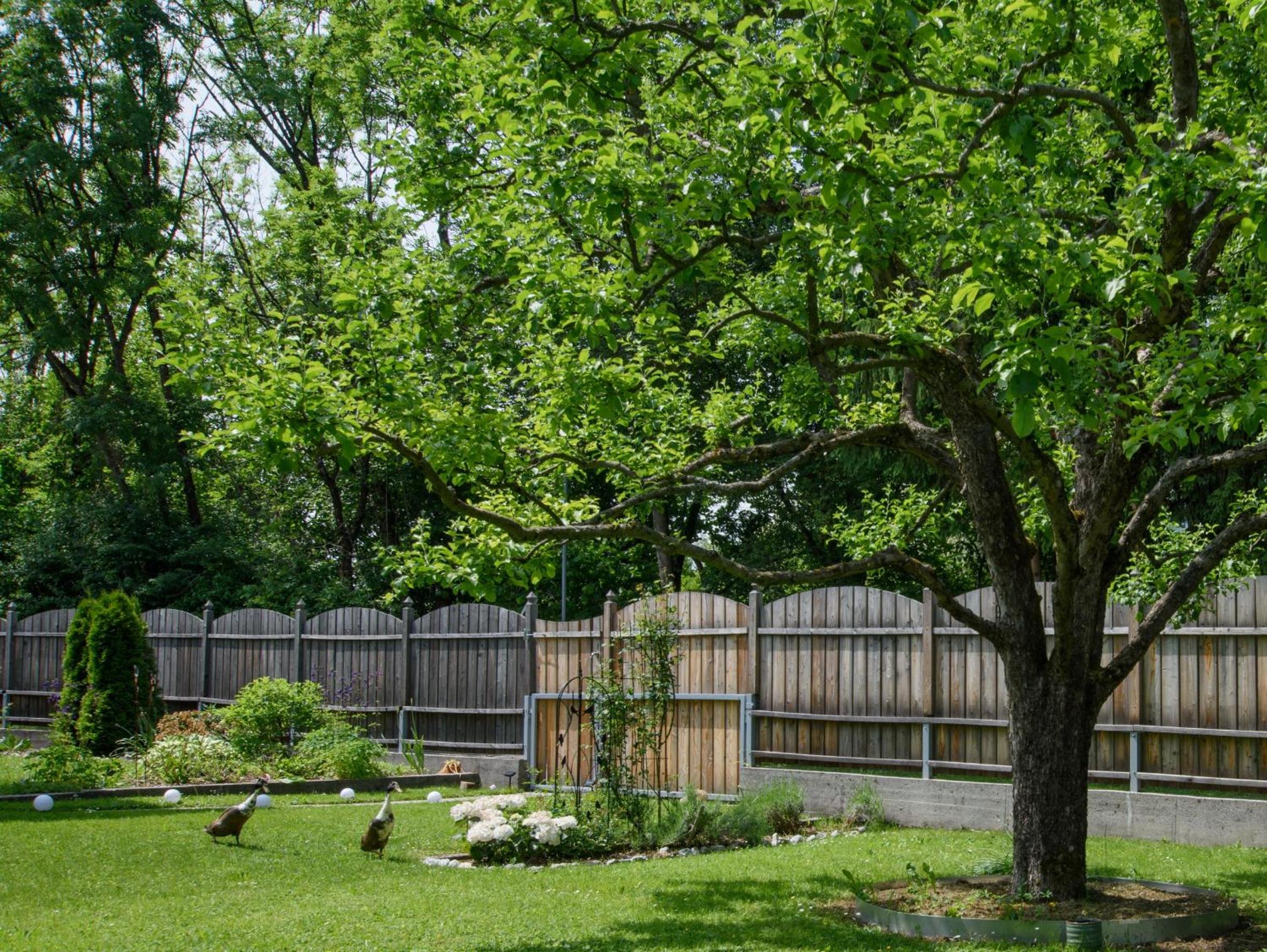 Garten Appartement Harmony