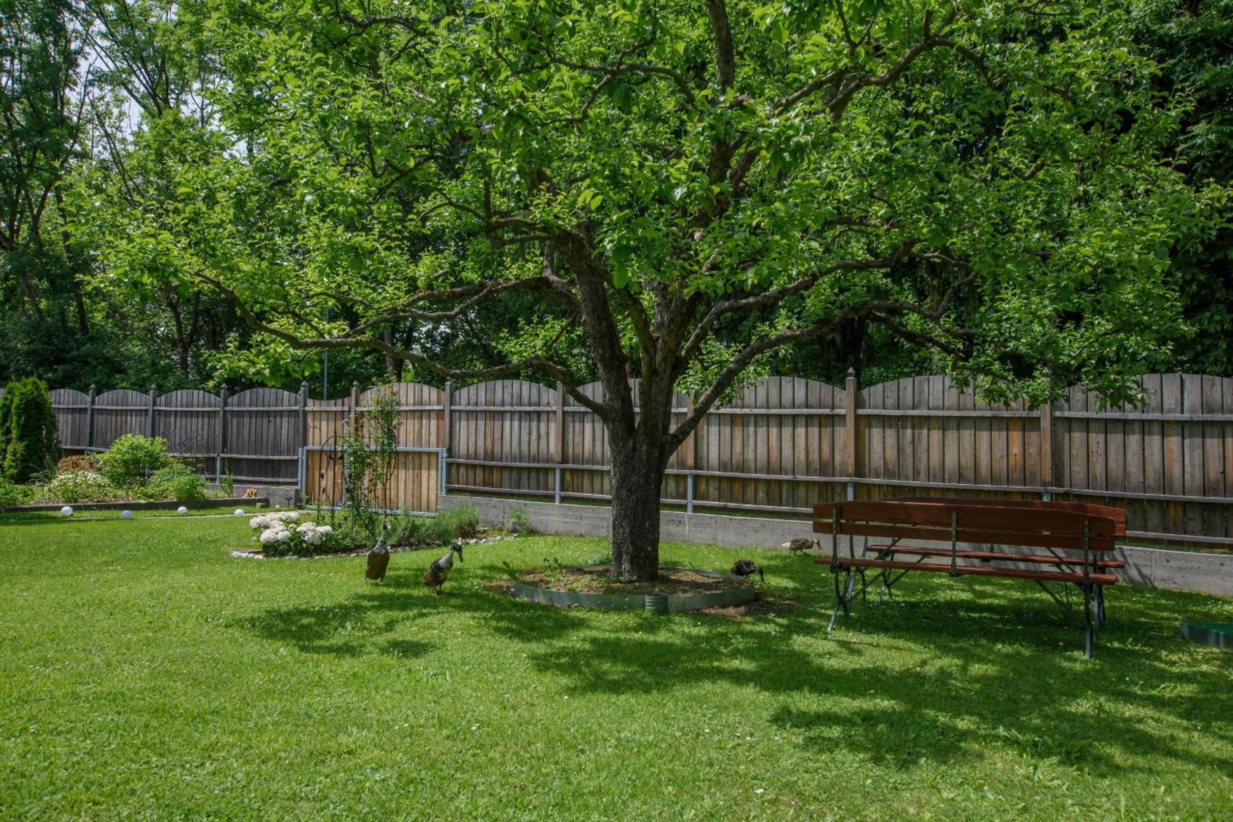 Garten Appartement Harmony