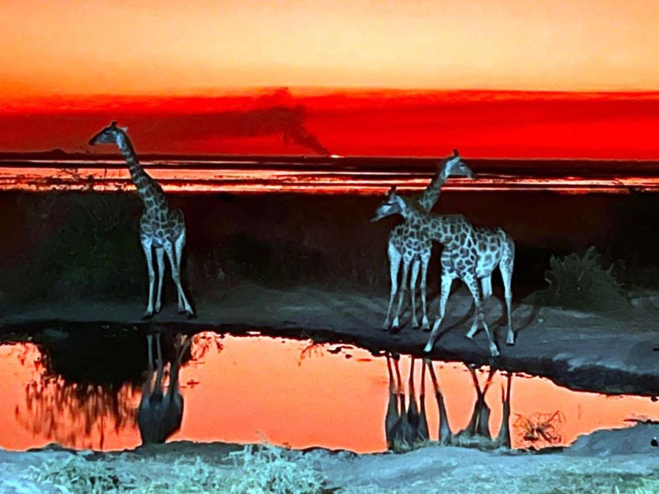 Mwandi View
