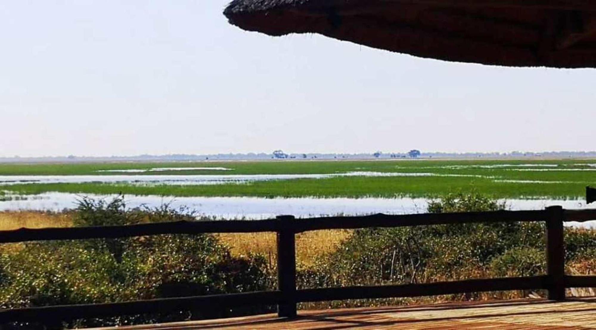 Mwandi View