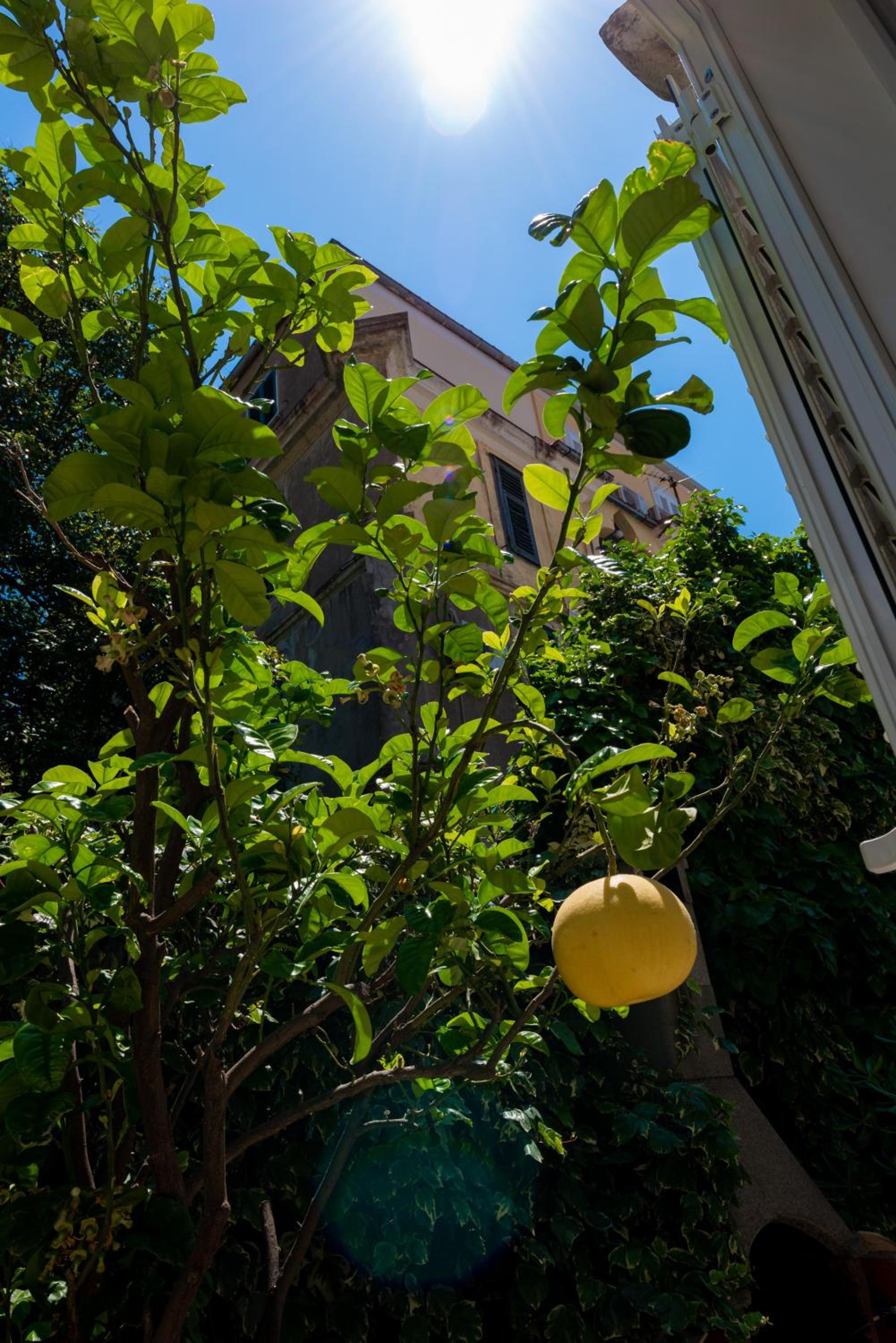 Hotel Villa Ida - Image 1