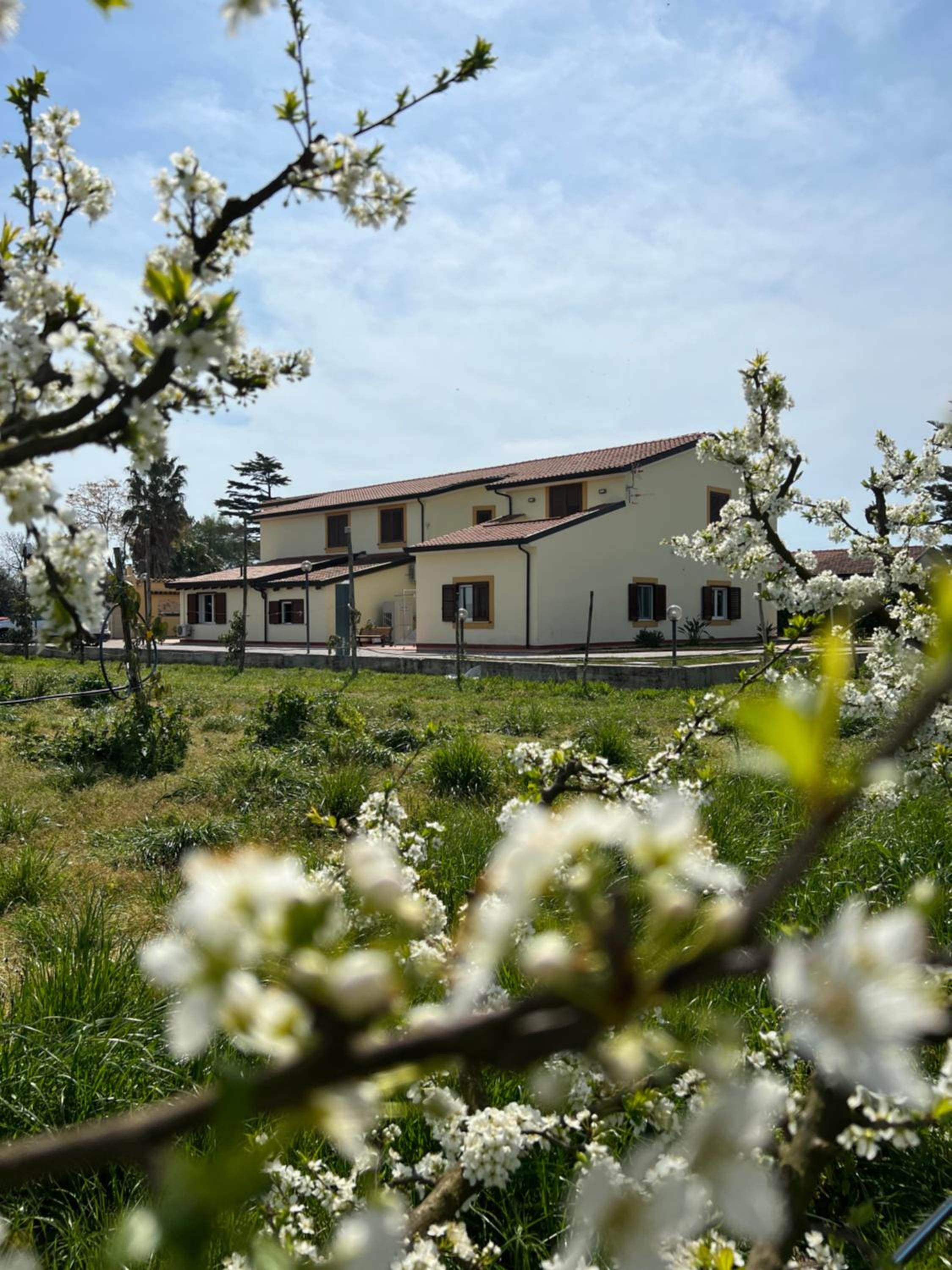 Tenuta Fasanarella