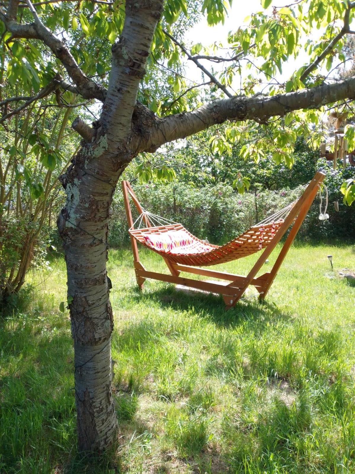 Ferienhaus Kranichhorst - Exklusiv-Nutzung mit großem Garten und Strandnähe