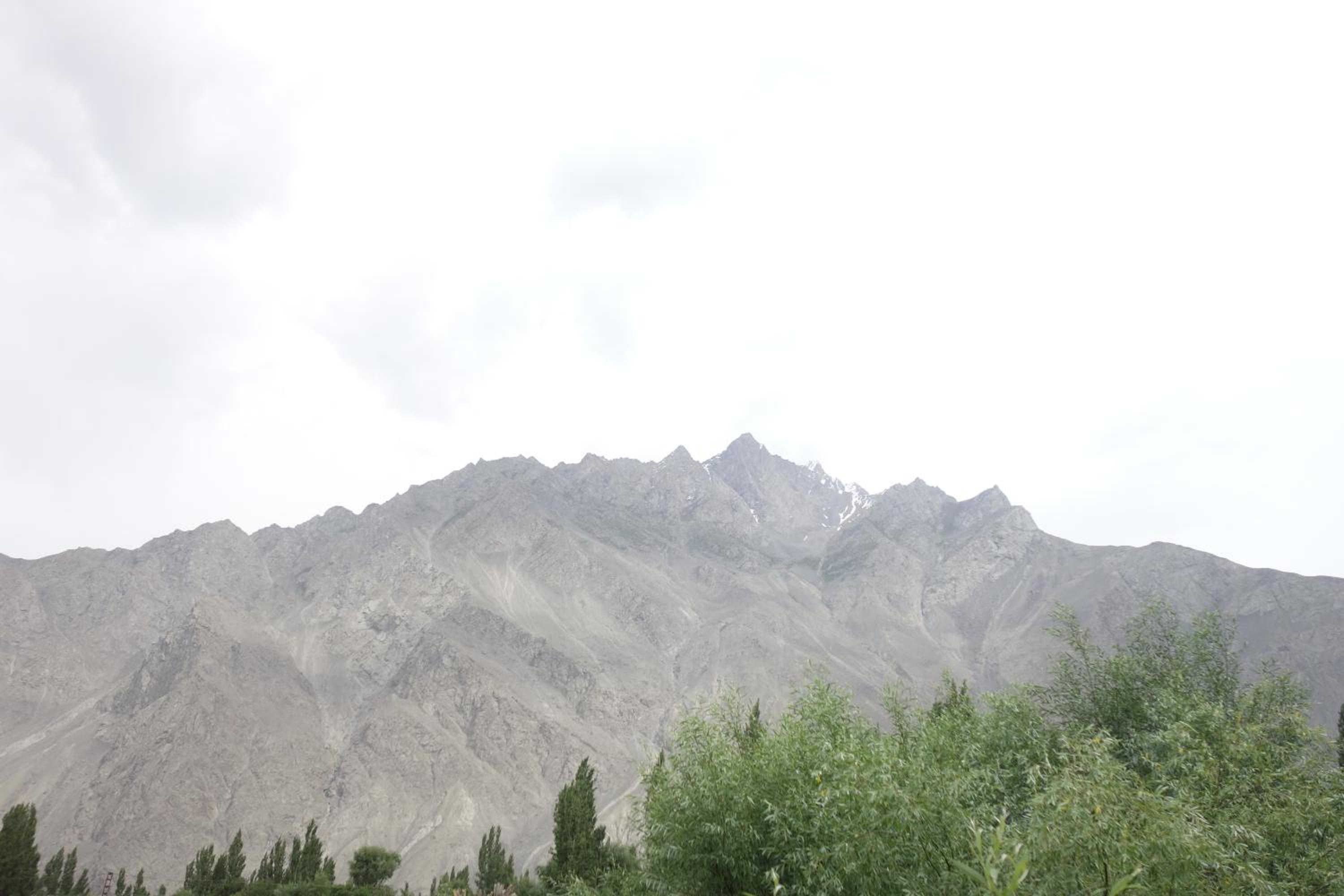 Photo 30