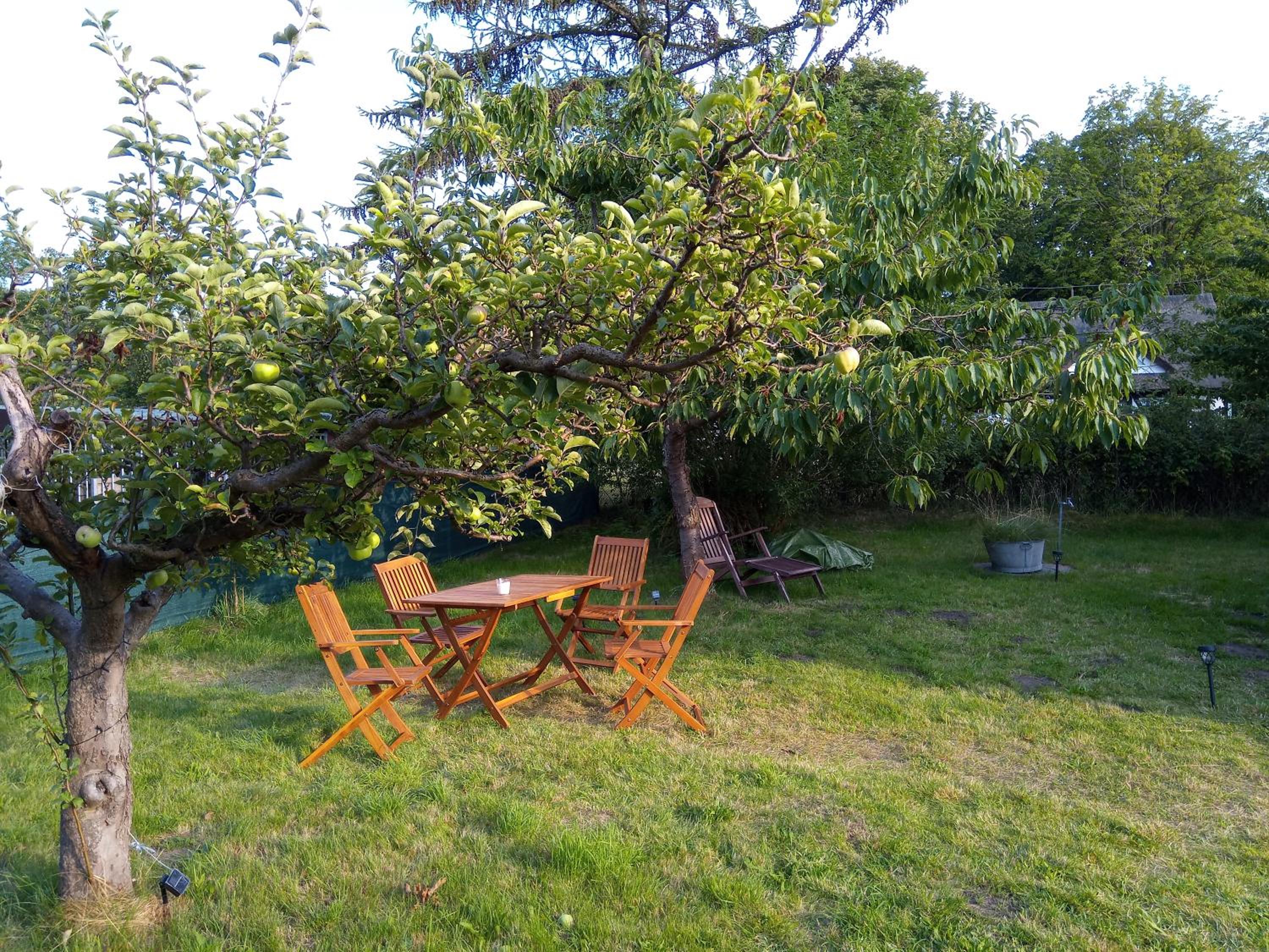 Ferienhaus Kranichhorst - Exklusiv-Nutzung mit großem Garten und Strandnähe