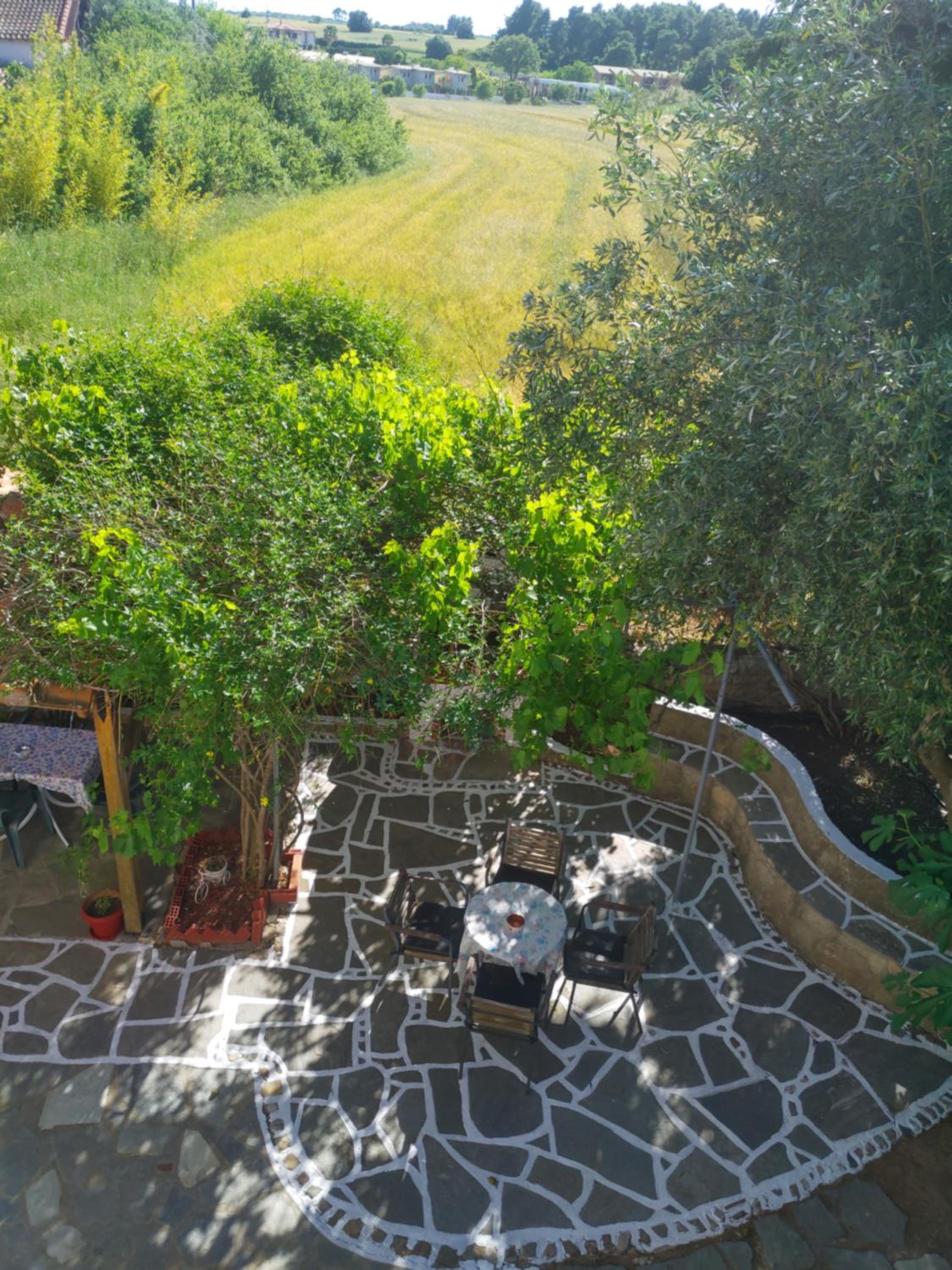 Panorama view 3