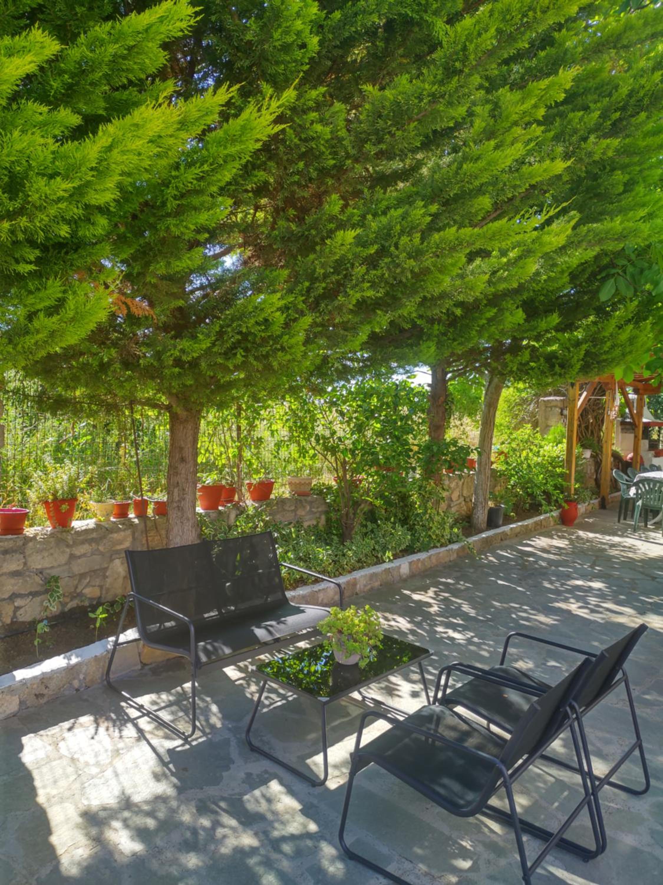 Panorama view 2
