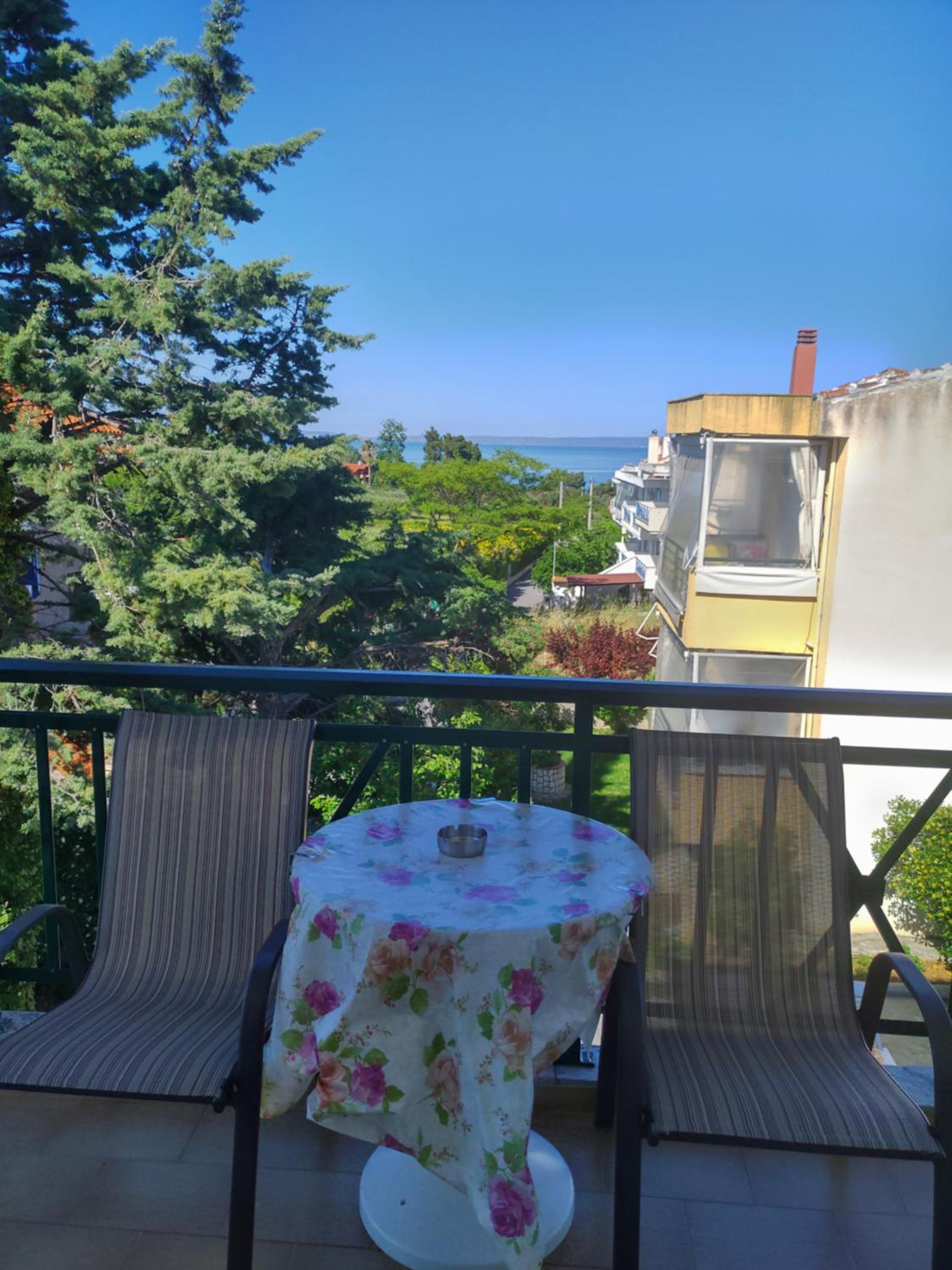 Panorama view 5