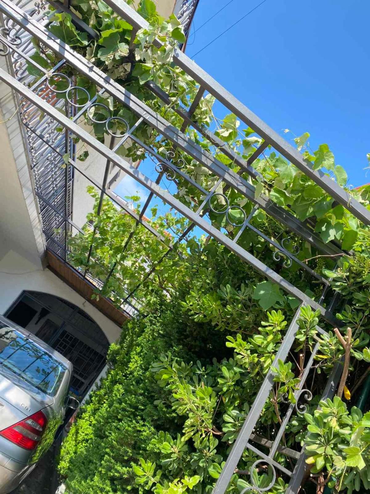 Apartmani Jelena view 5