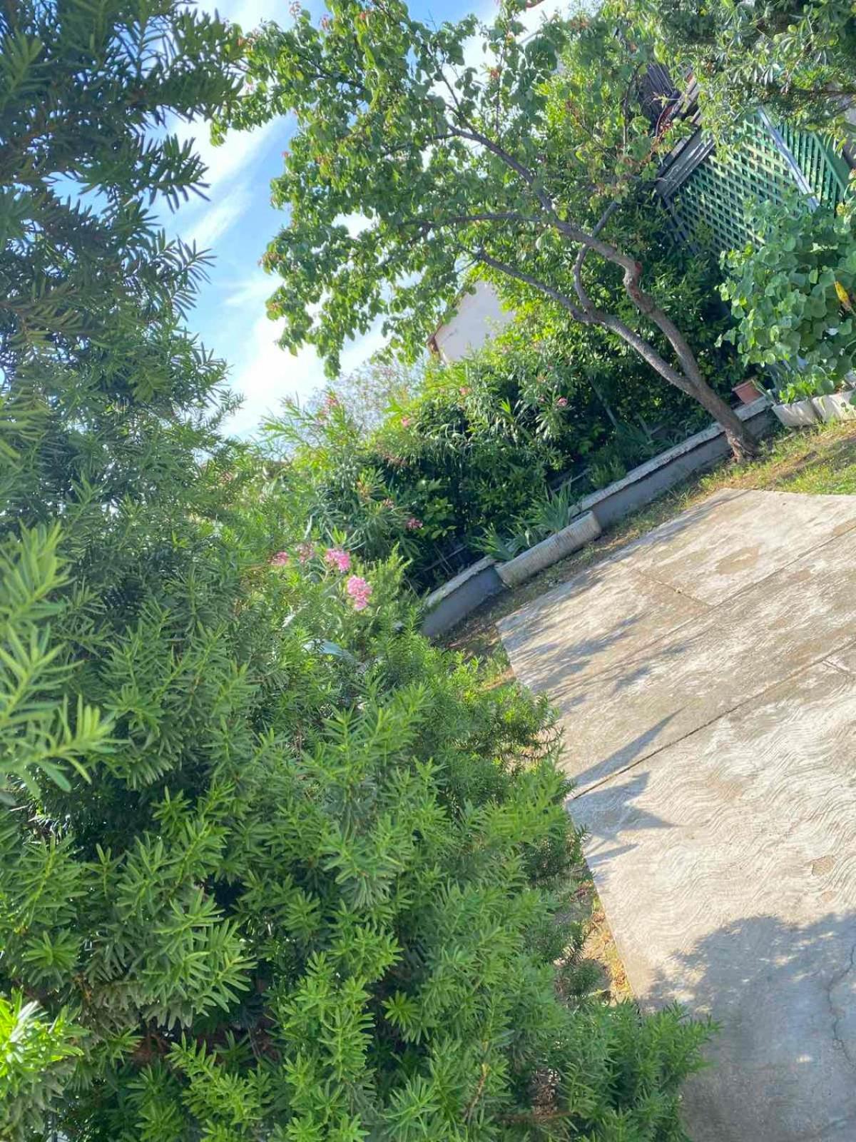 Apartmani Jelena view 3