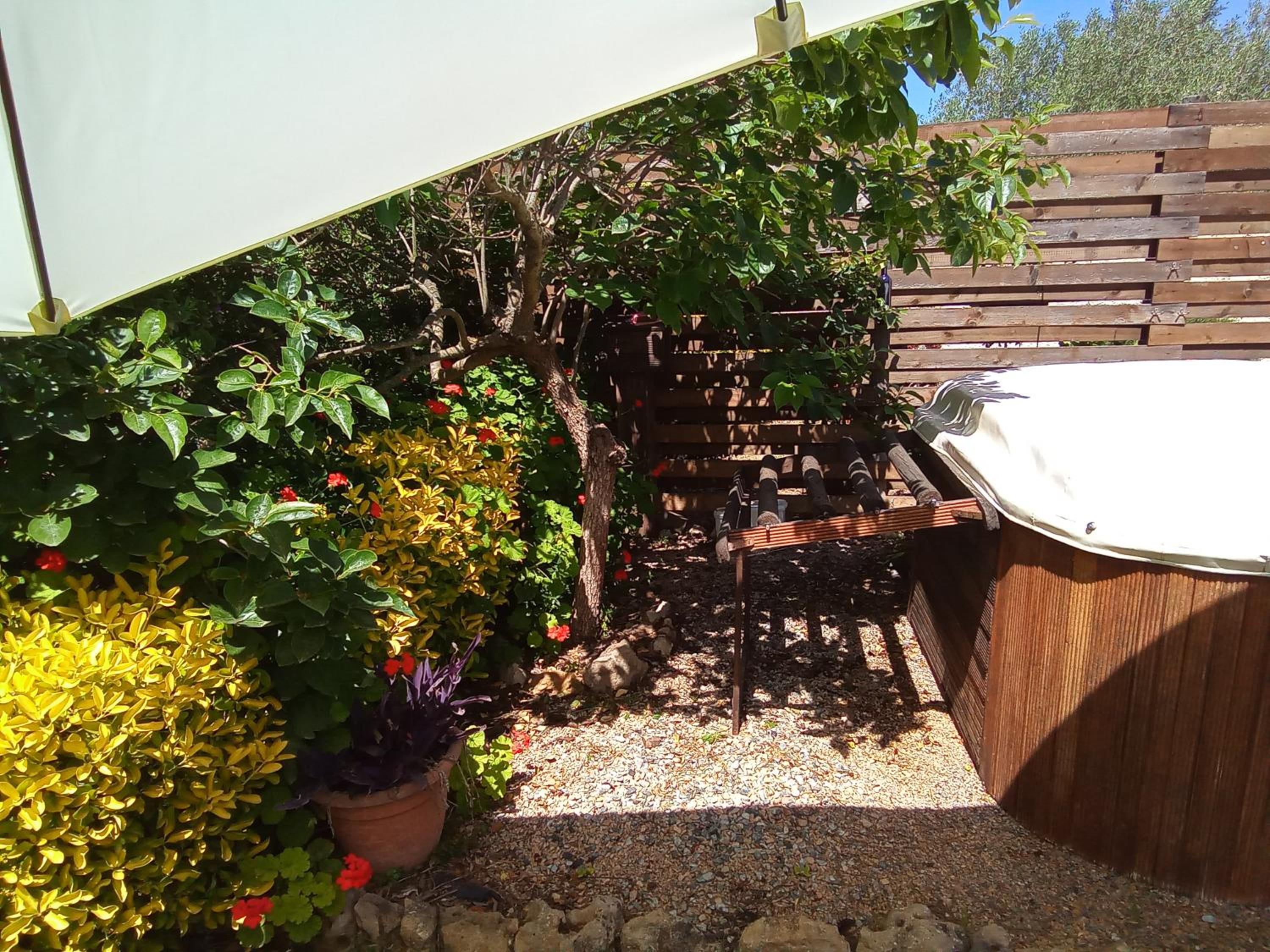 Photo 15