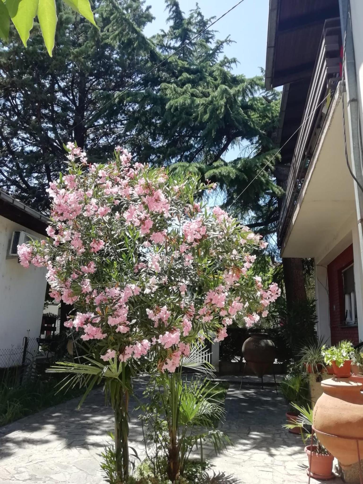 Photo 23