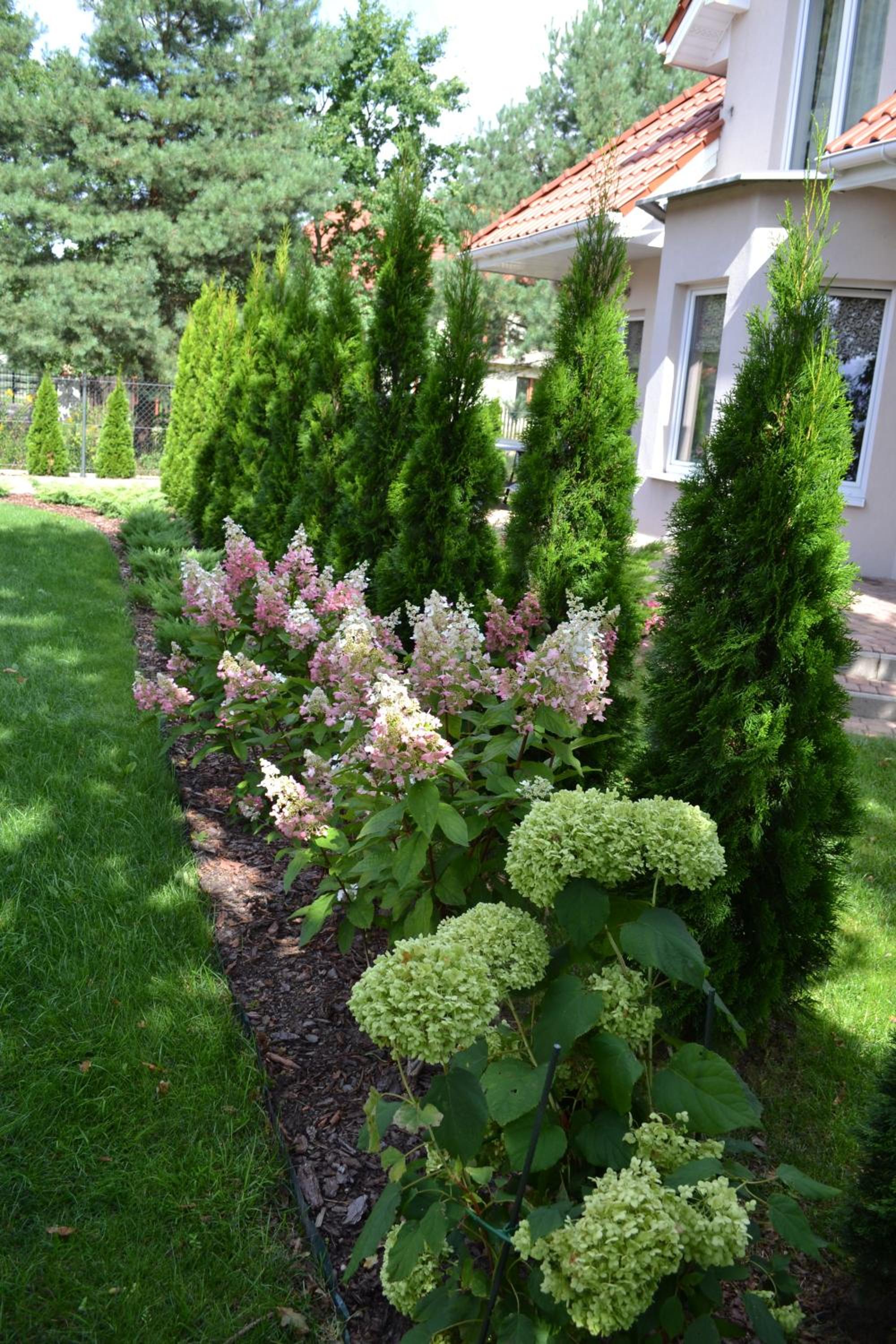 Photo 28