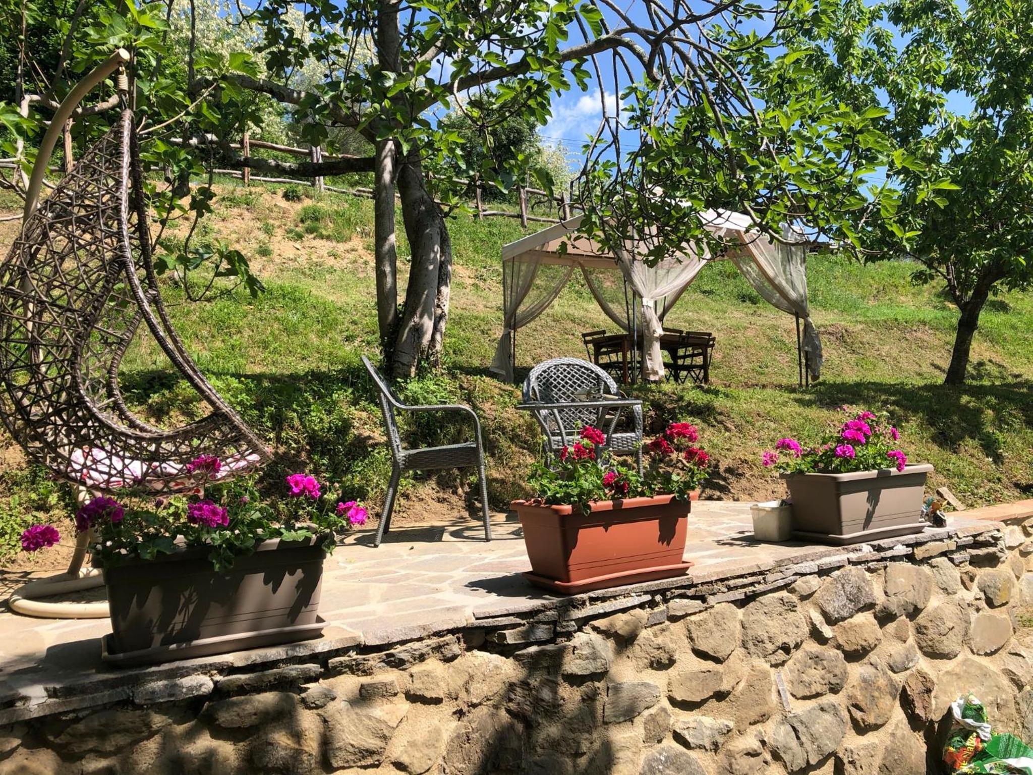 Photo 45