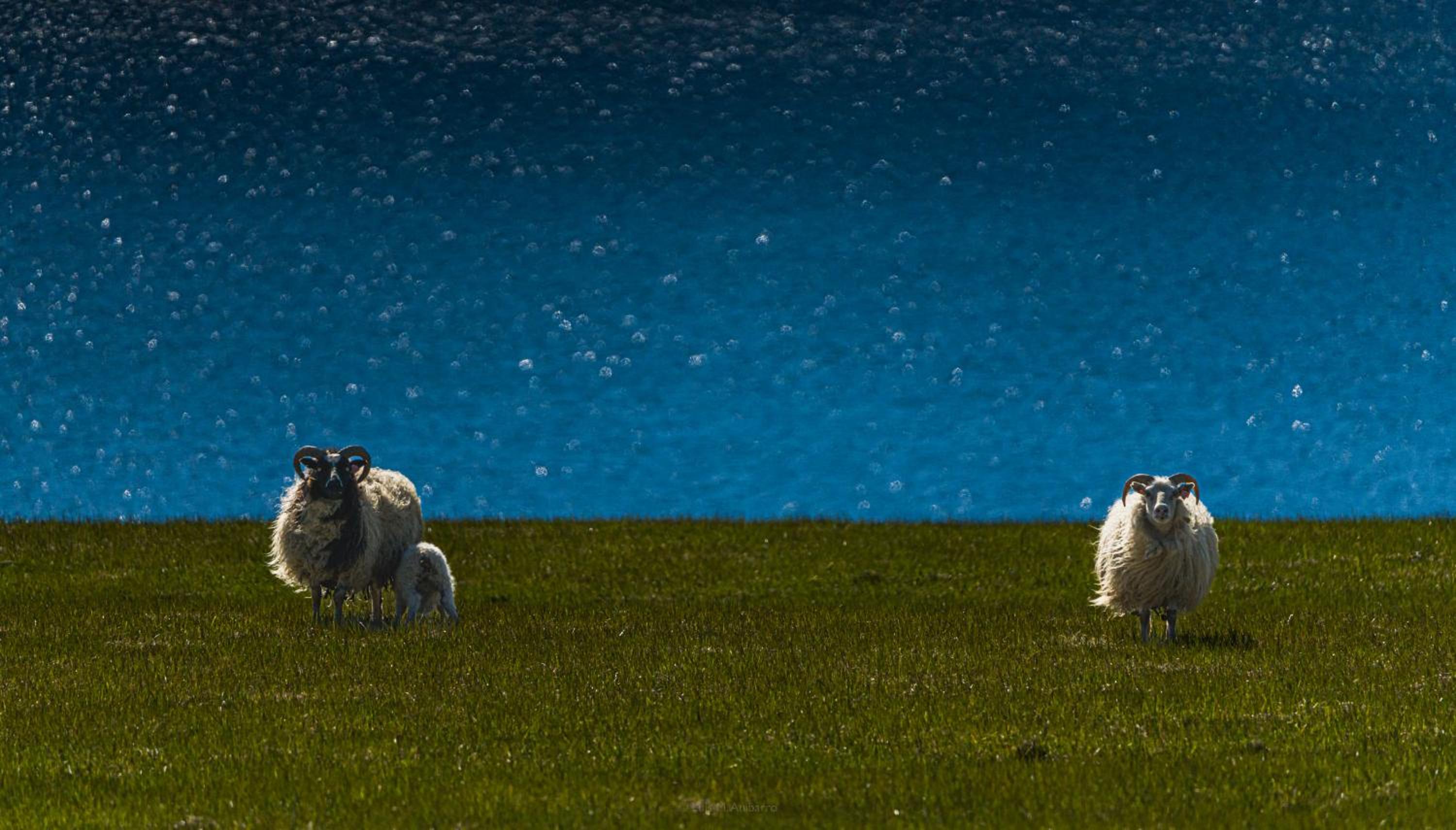 Salthús Guesthouse