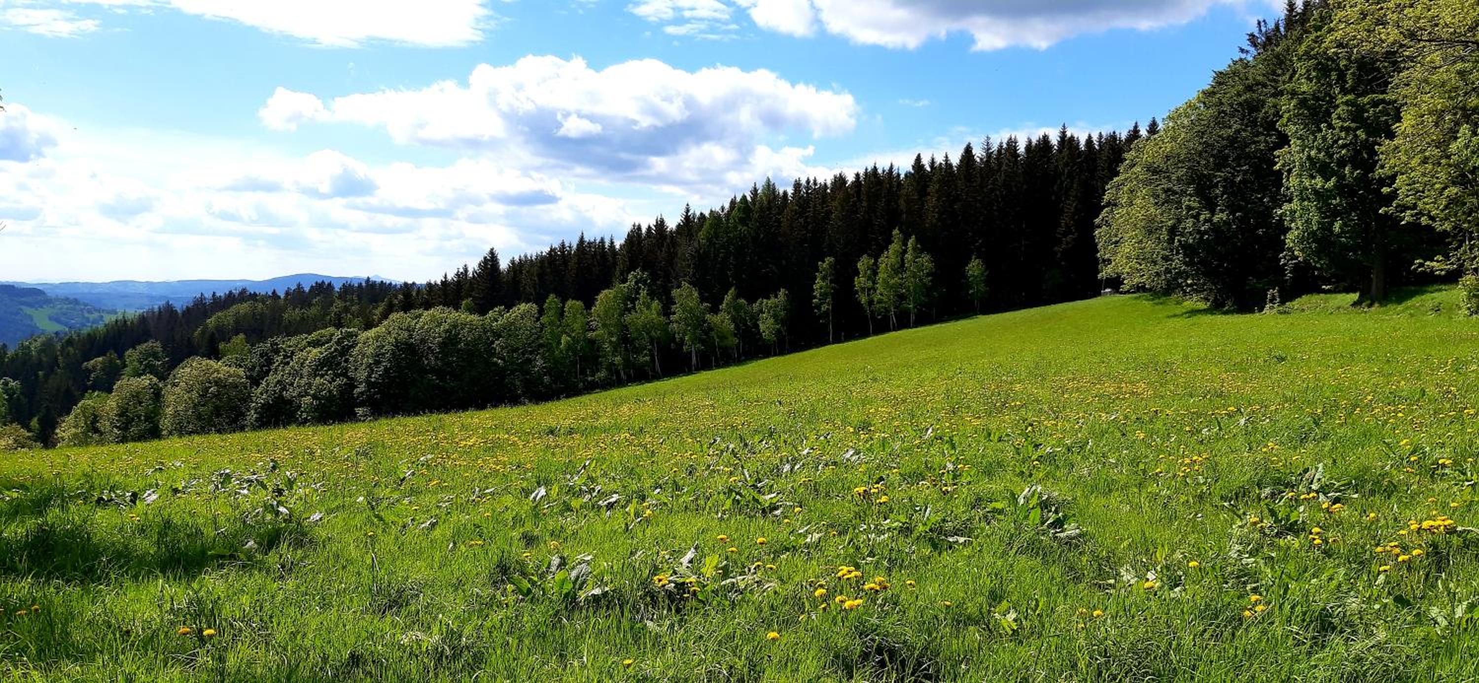 Apartmán HYGGE Bratrouchov