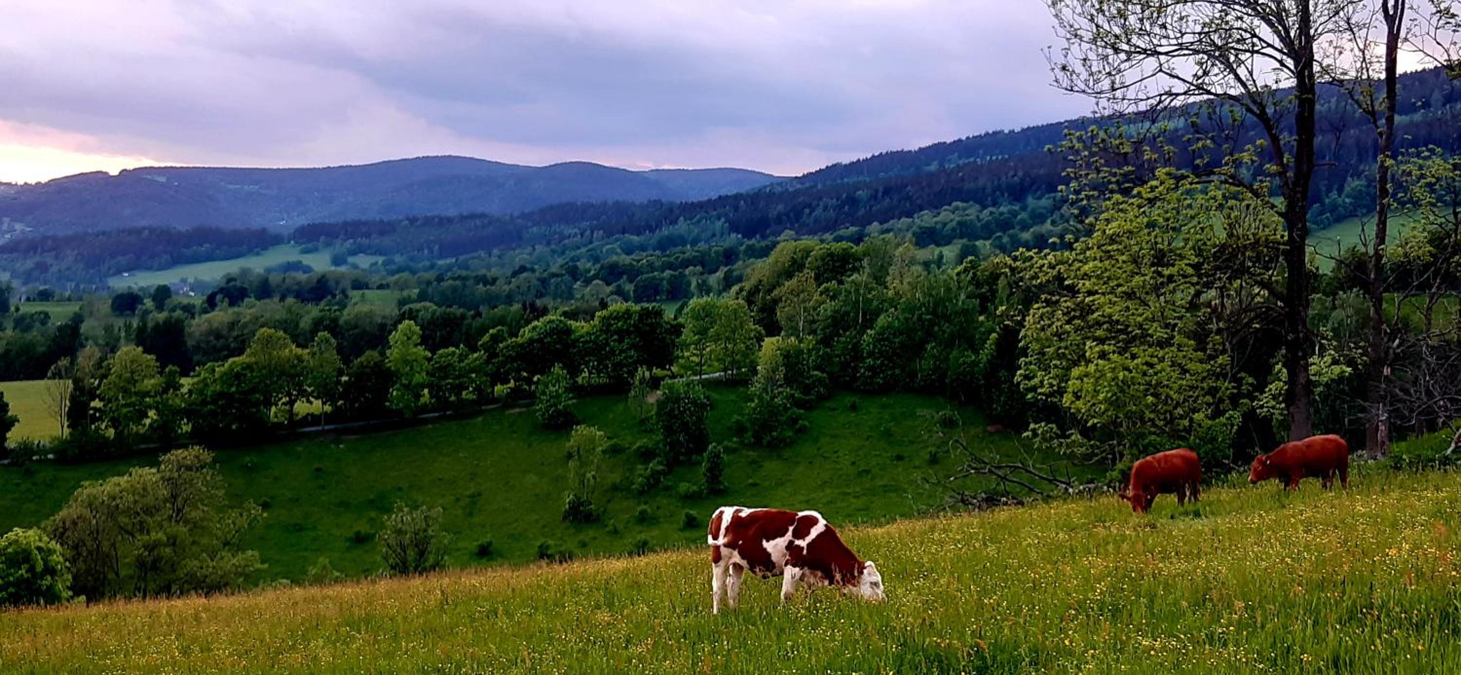Apartmán HYGGE Bratrouchov