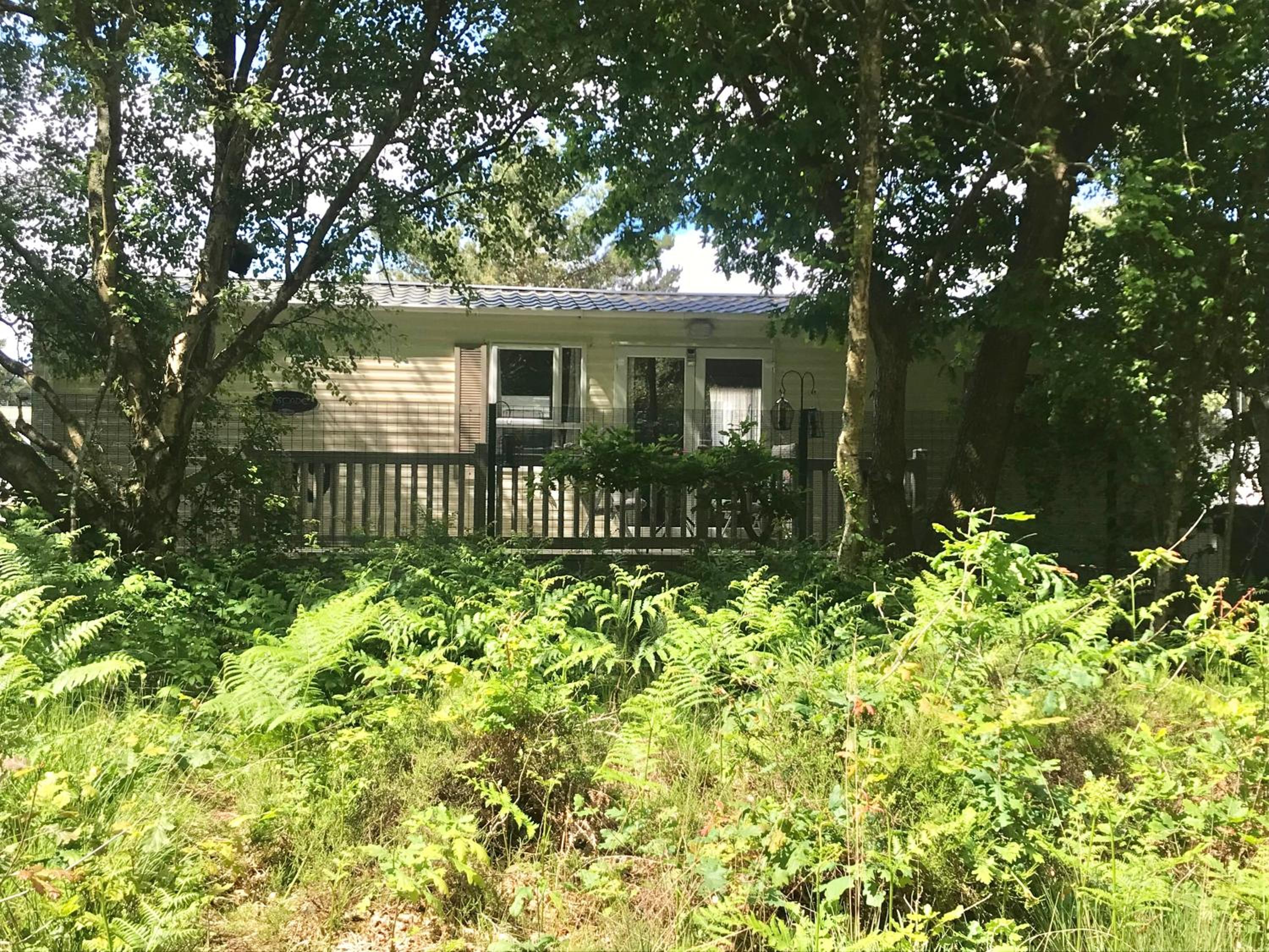 Hotel Violet 1 Oakdene Forest Park