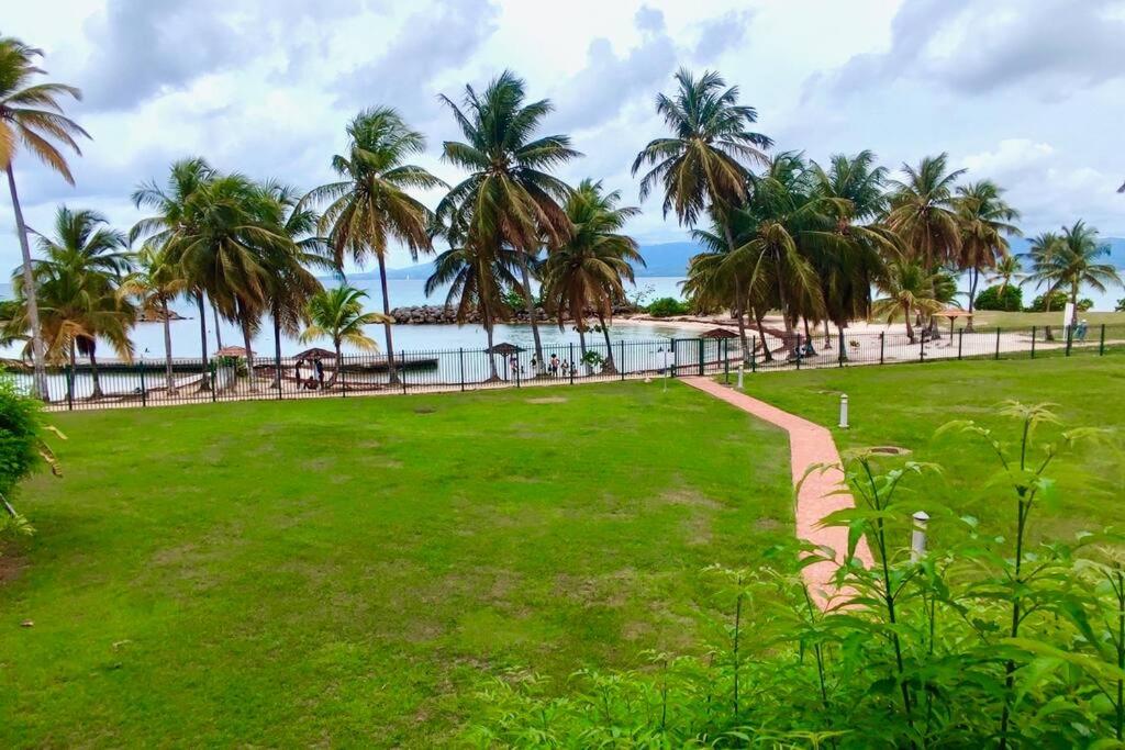 Ti Punch Appartement pied dans l'eau avec piscine view 3