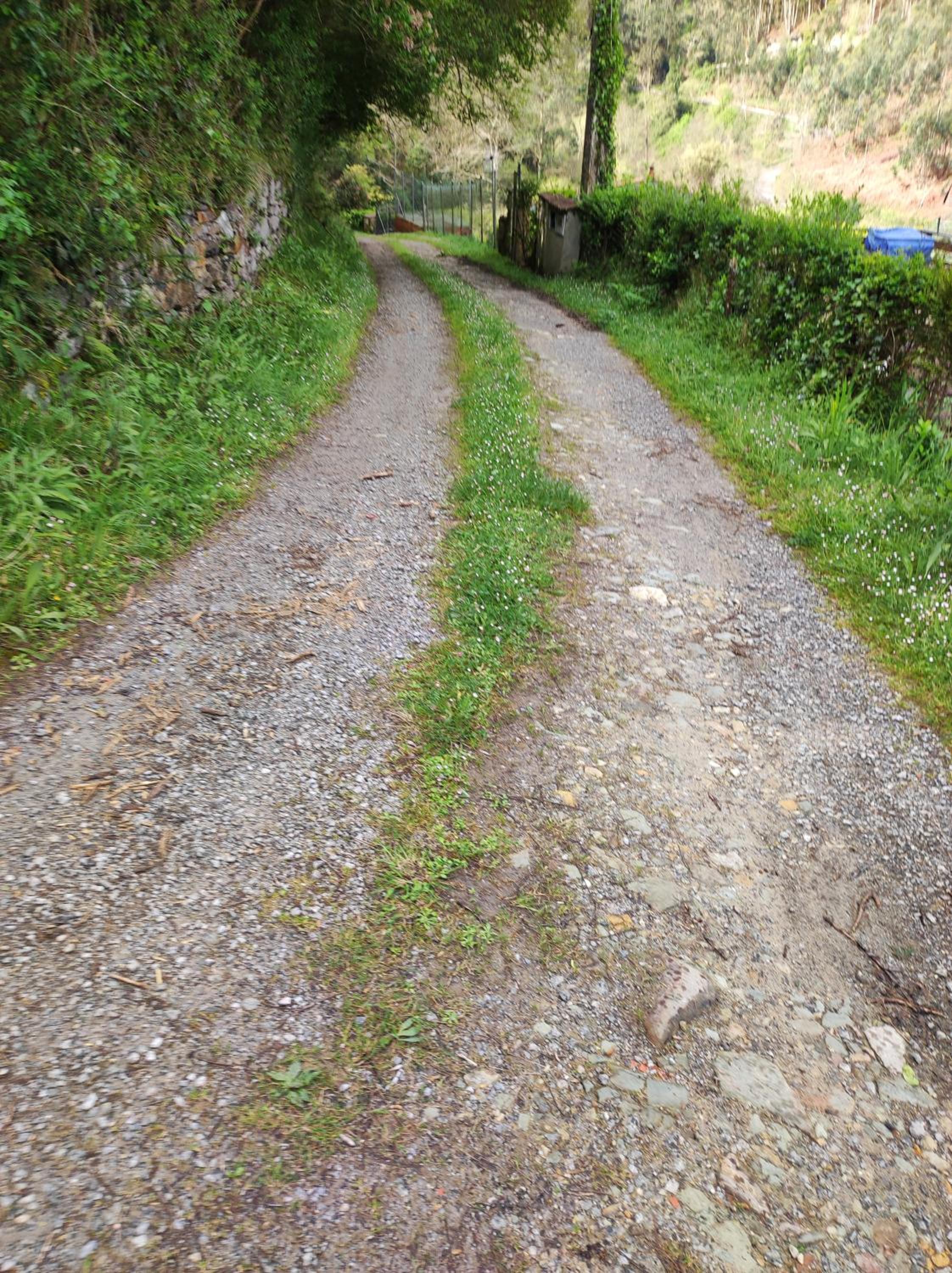 Photo 45