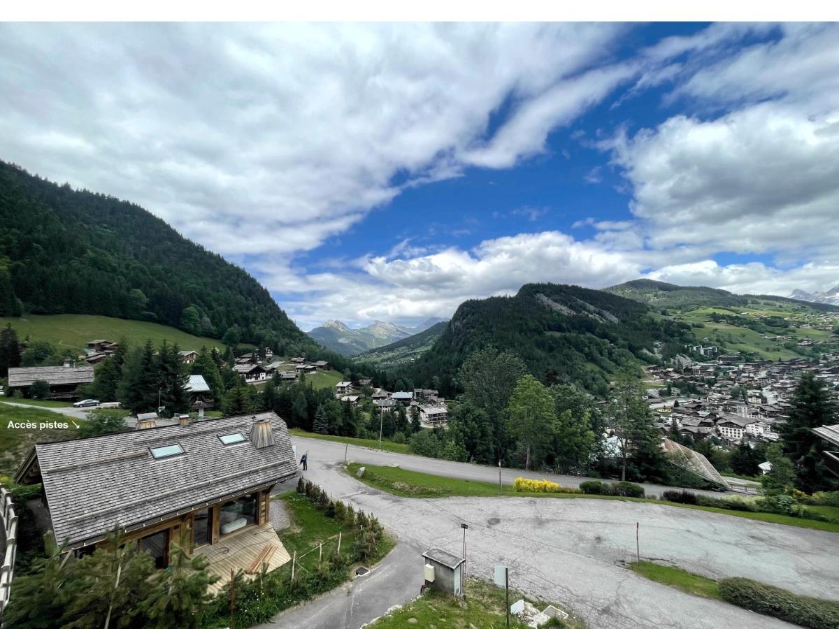 Richemont 12 - Duplex proche pistes vue view 5