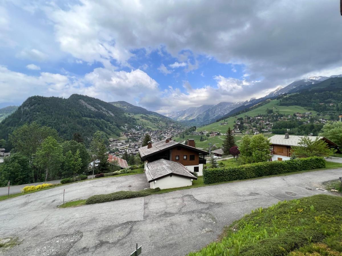 Richemont 12 - Duplex proche pistes vue photo 3