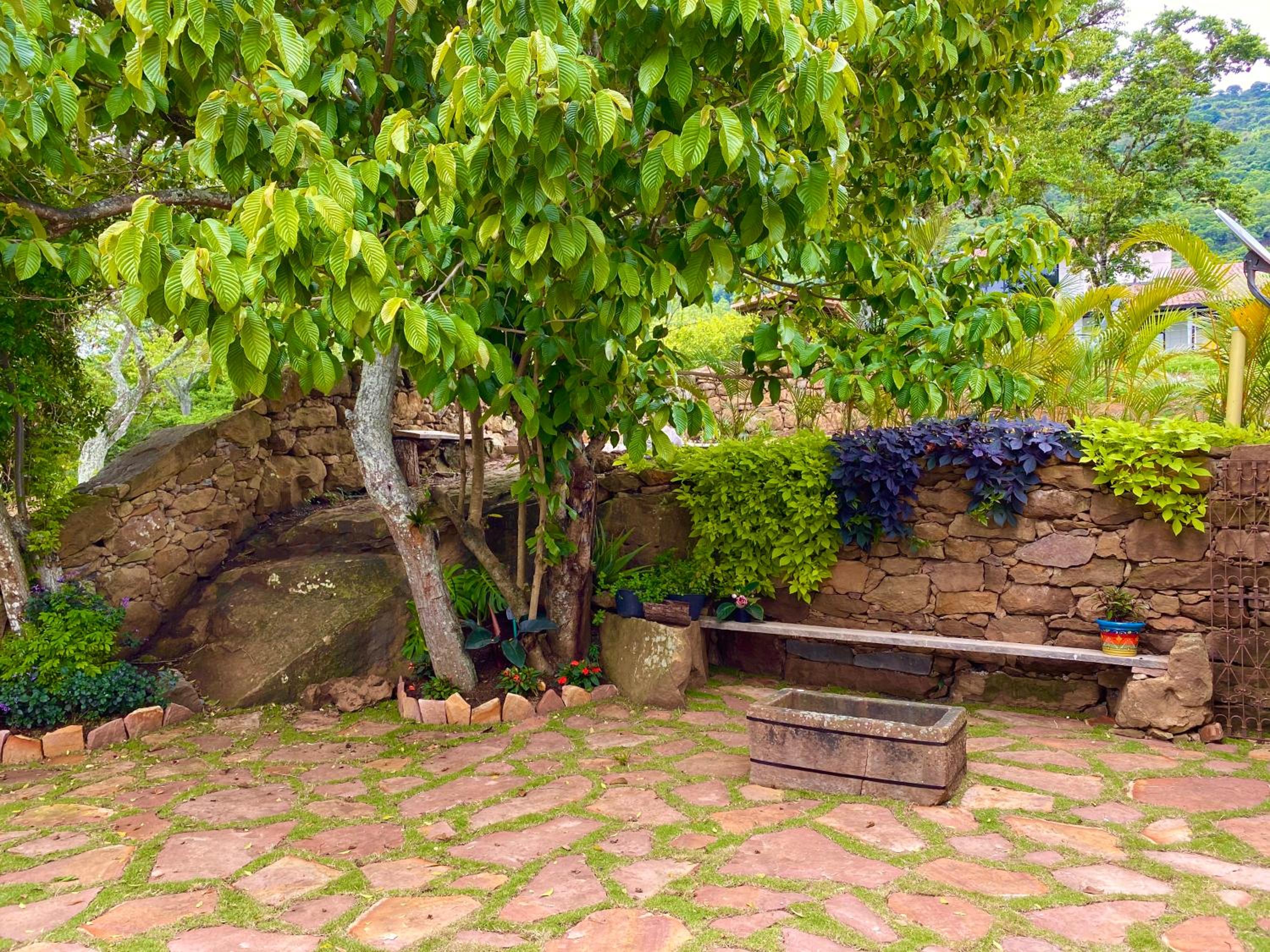 Photo 8