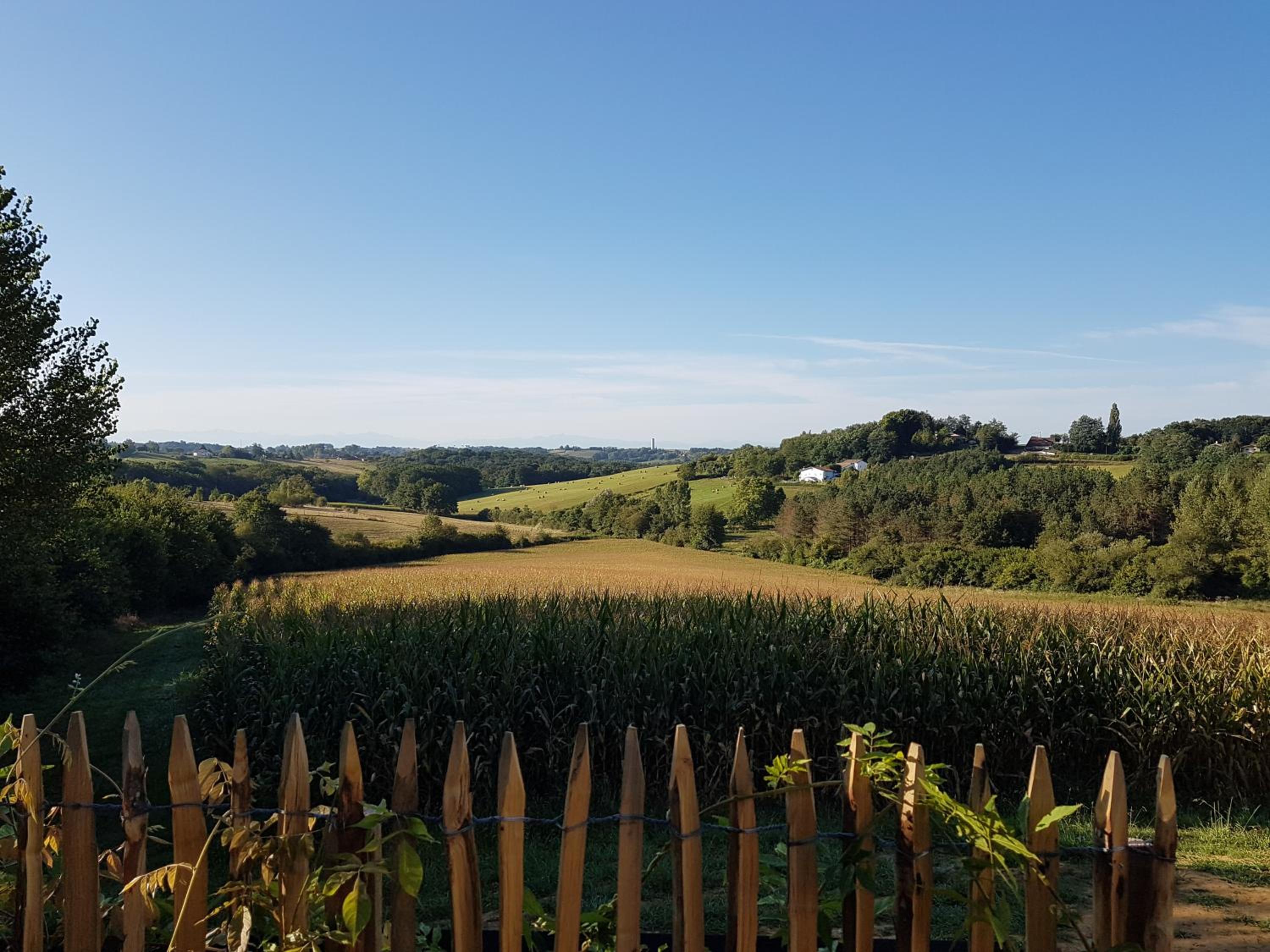 Les Chemins de Berdis view 4