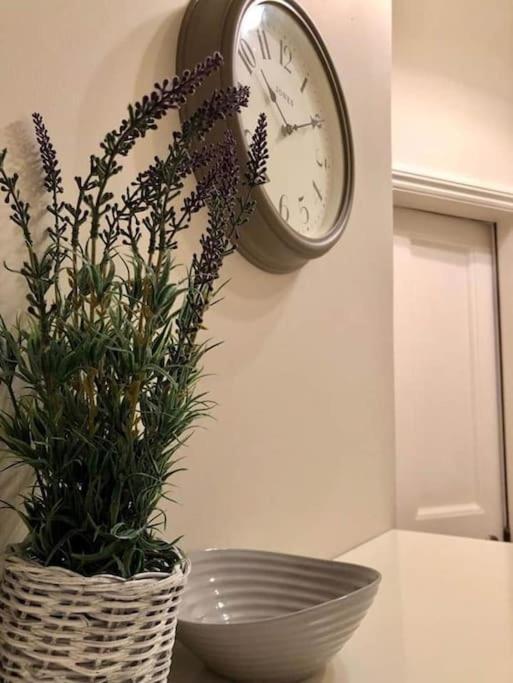 Stylish -2 Bed -Heart of the City - Parking- Wi-fi- Award Winning- Grade II Listed view 2