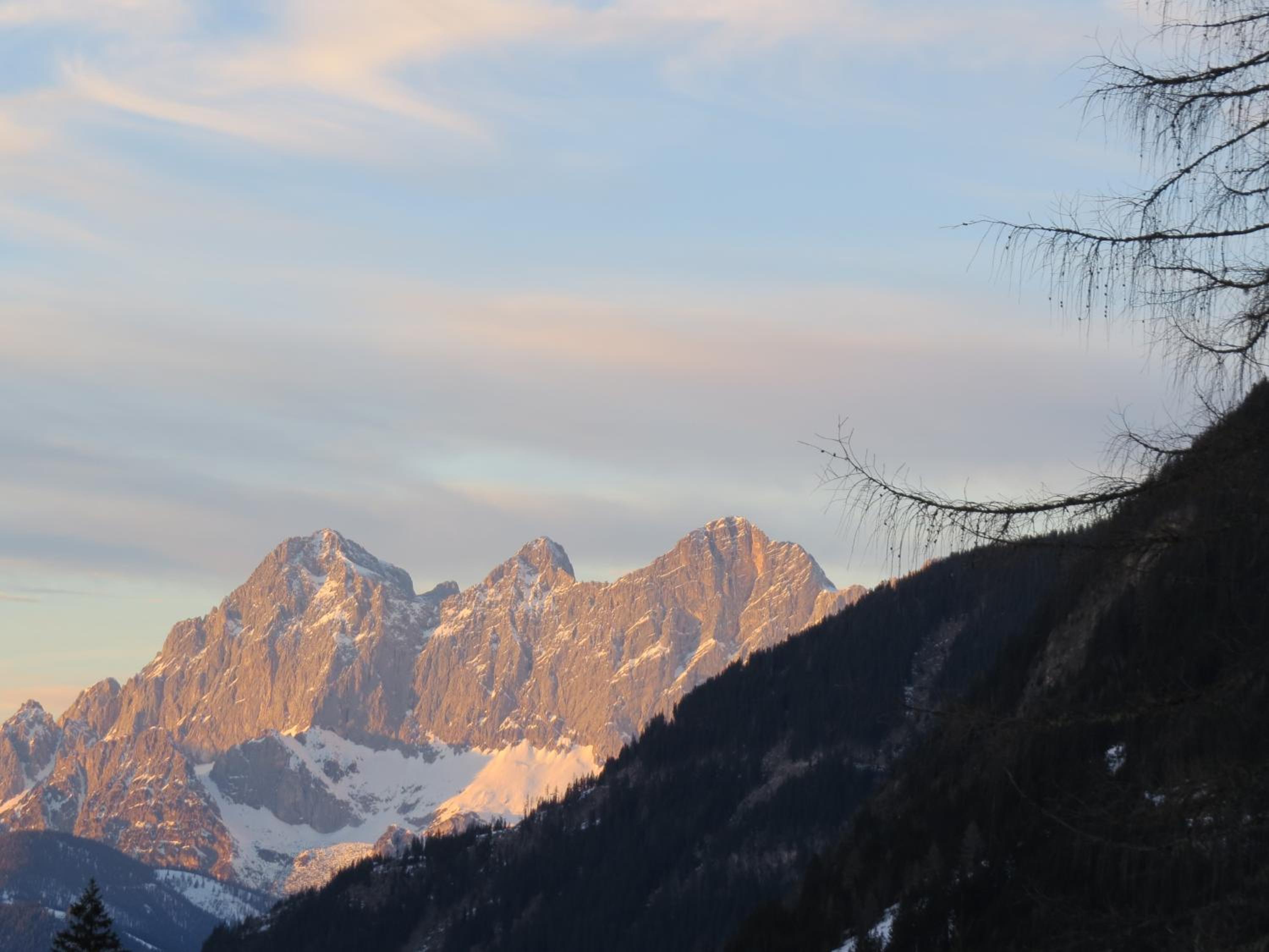 Sportpension Alpenrose