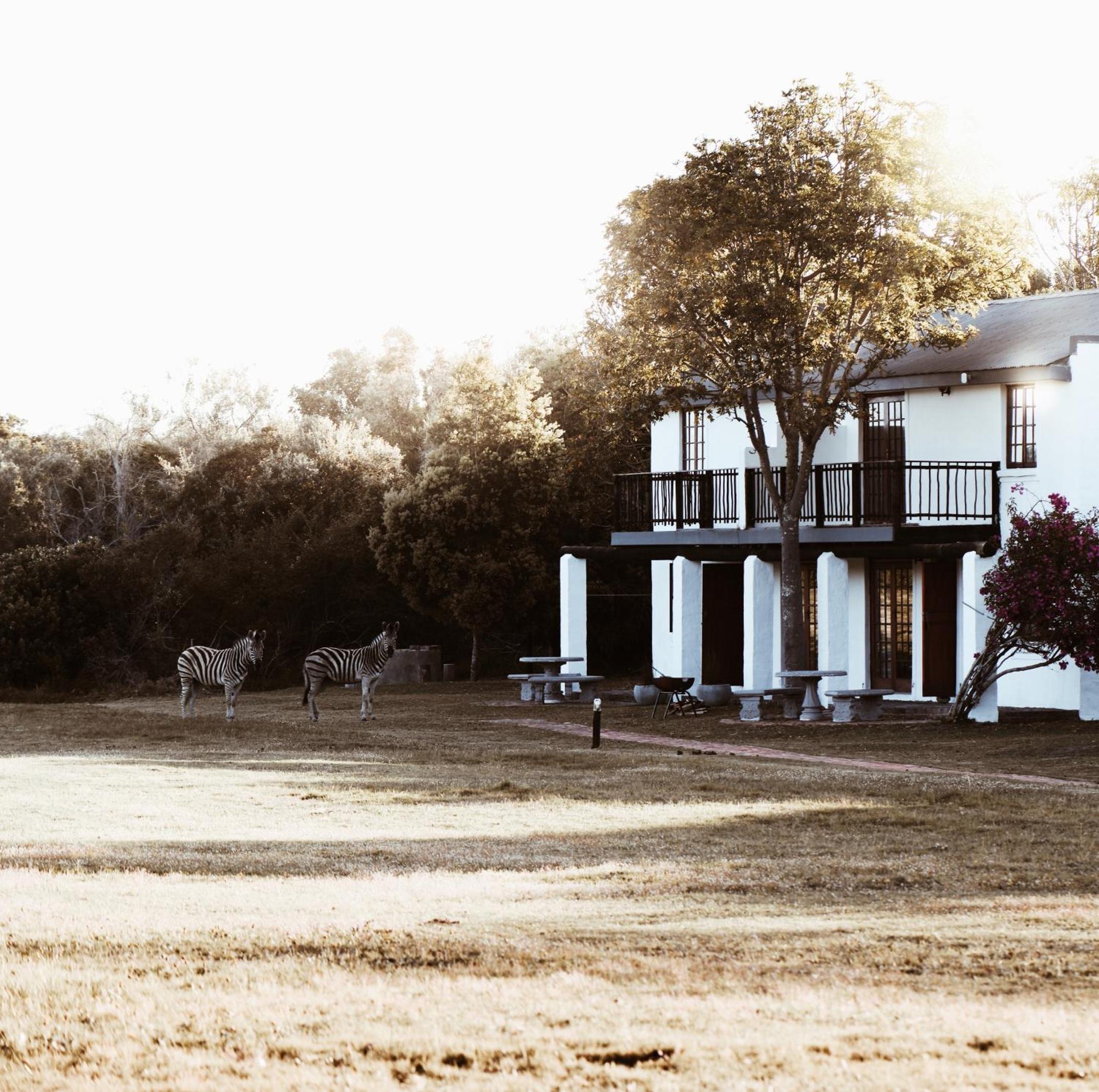 Hotel Stanley Island