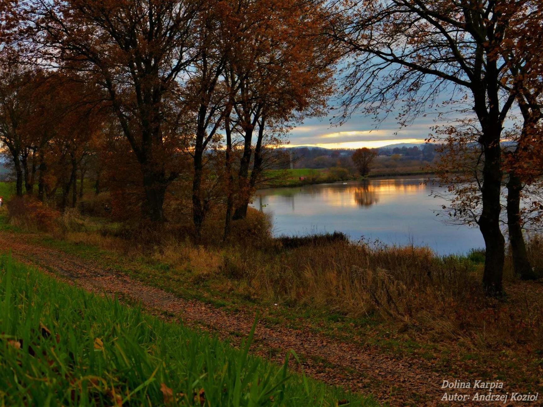 Photo 44