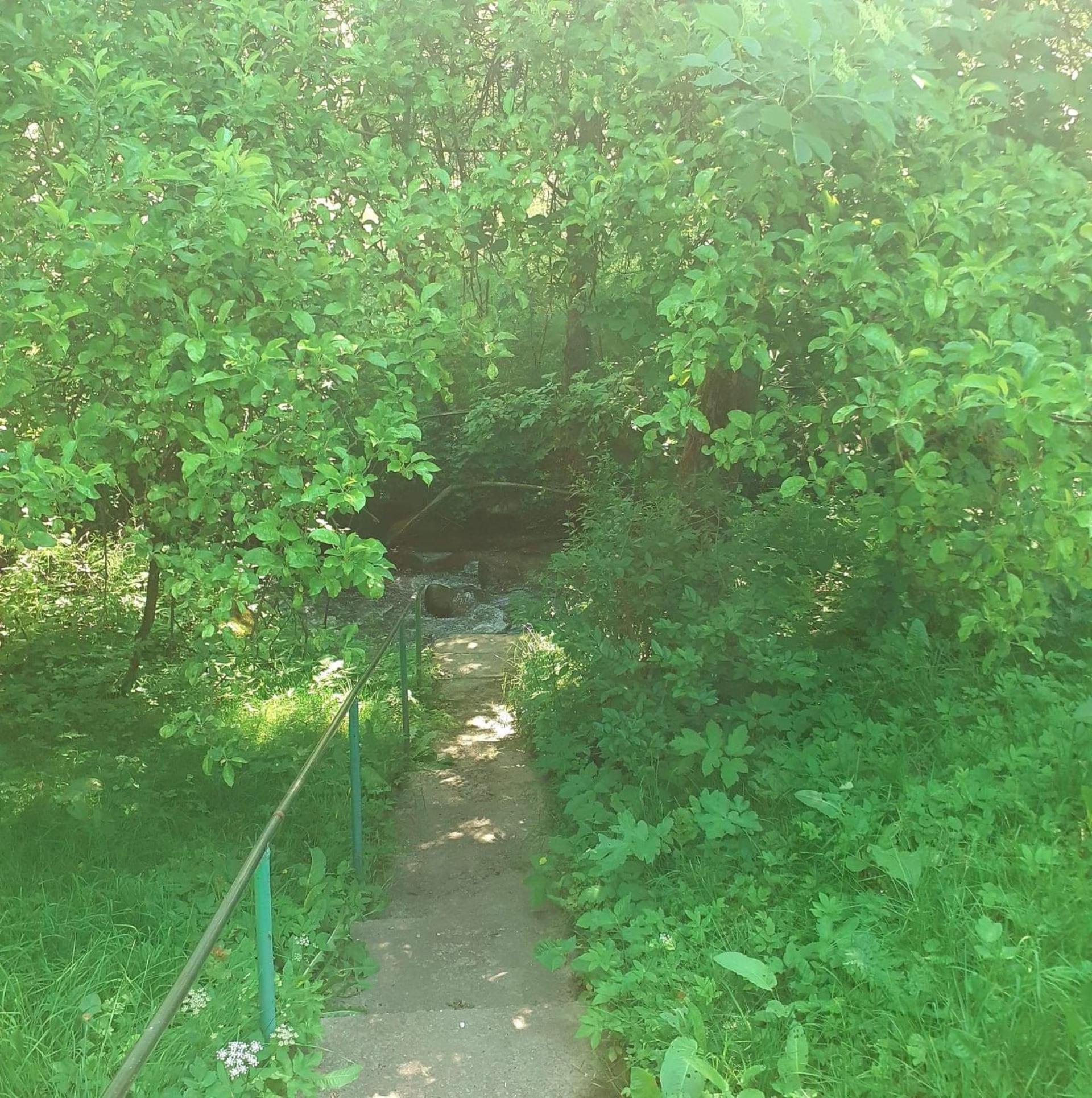 Photo 52