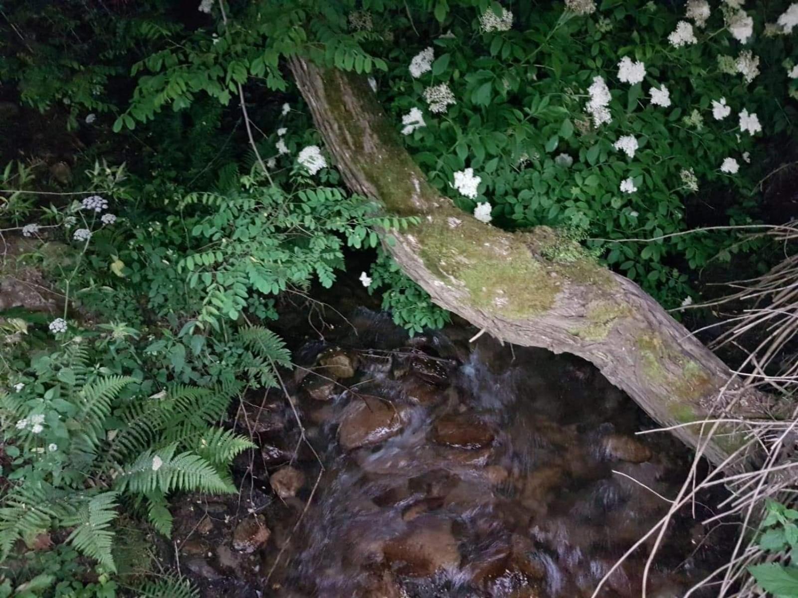 Photo 49
