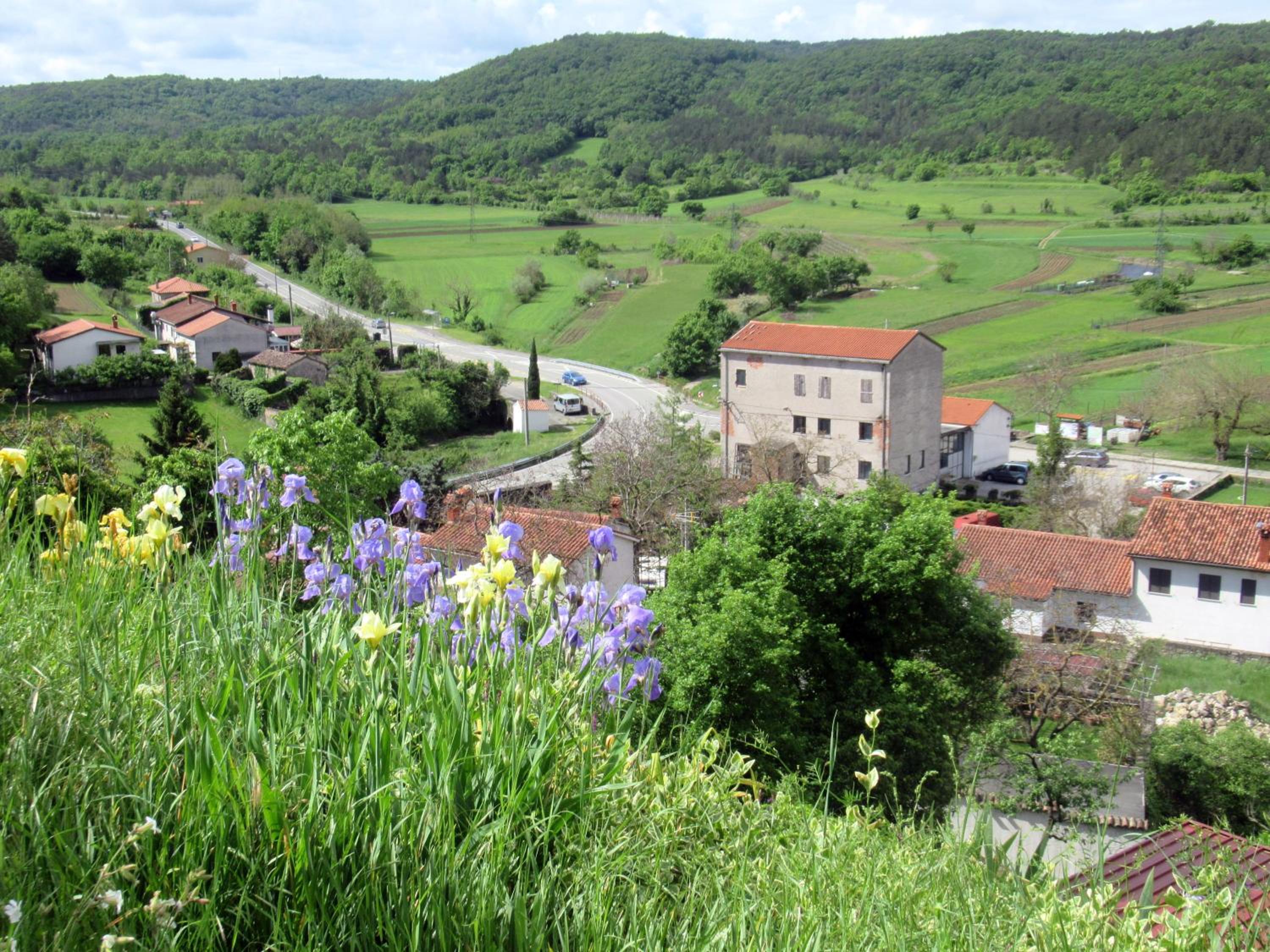 Apartma Qbed-Peaceful Retreat in Slovinan Istria