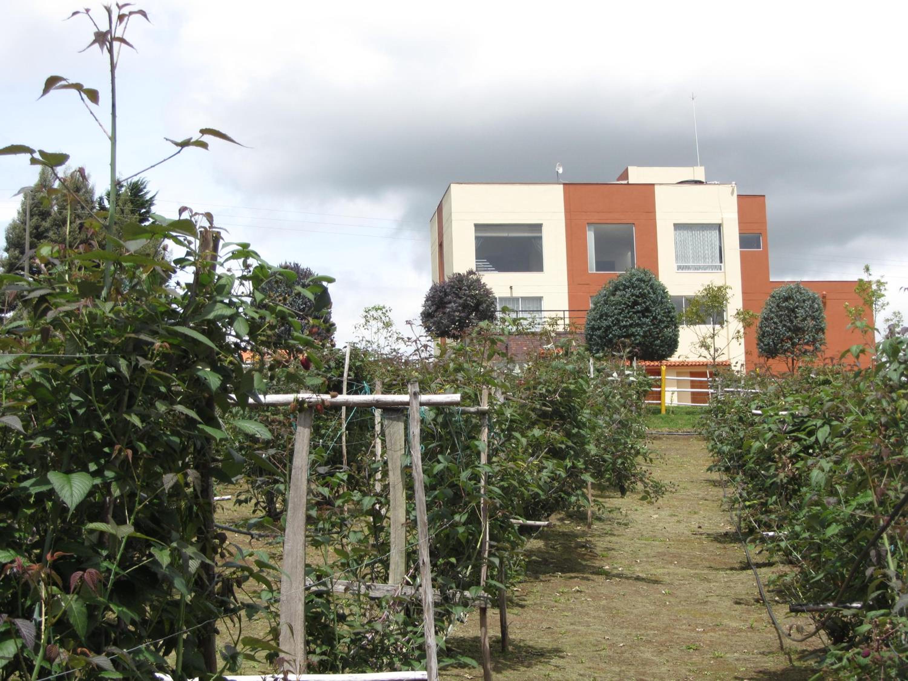 Ecohotel, Finca Colinas y Senderos, Pantano de Vargas