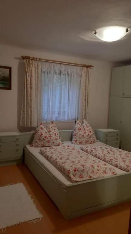 Haus Pinter in Schladming - Dachstein Region