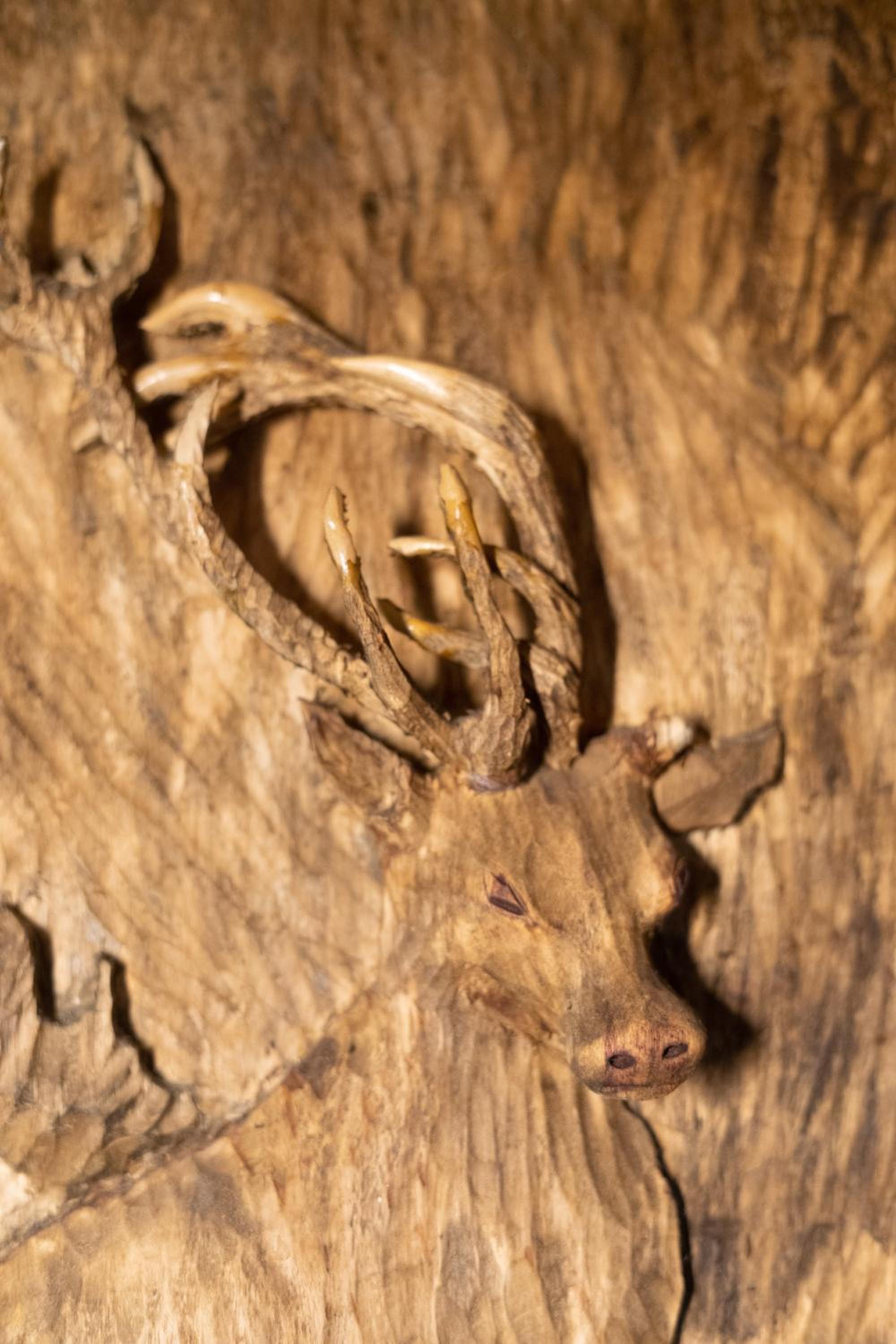 Photo 45