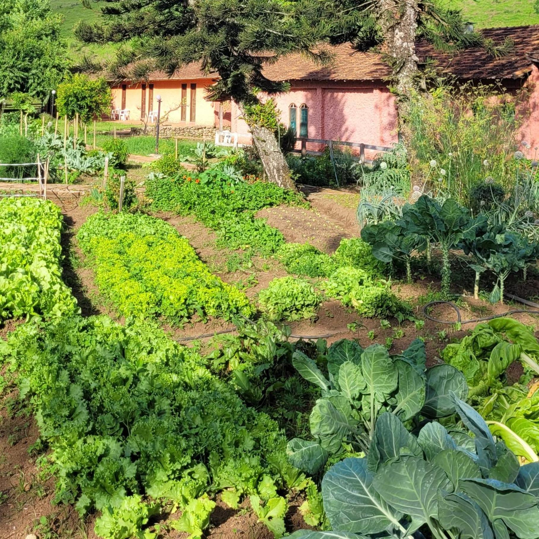 Fazenda Serra que Chora - Pousada e Restaurante