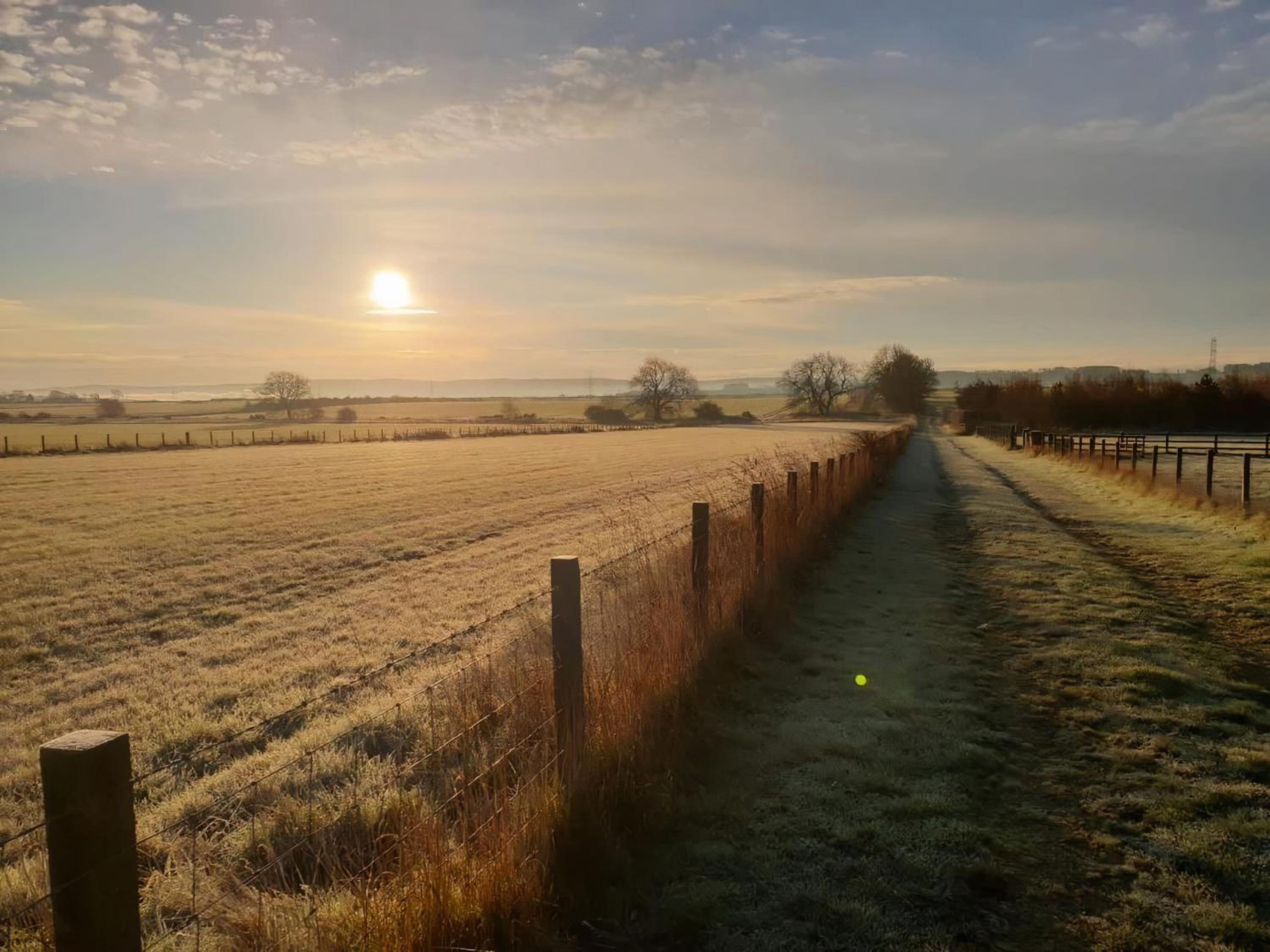 Vallum Cabins view 4