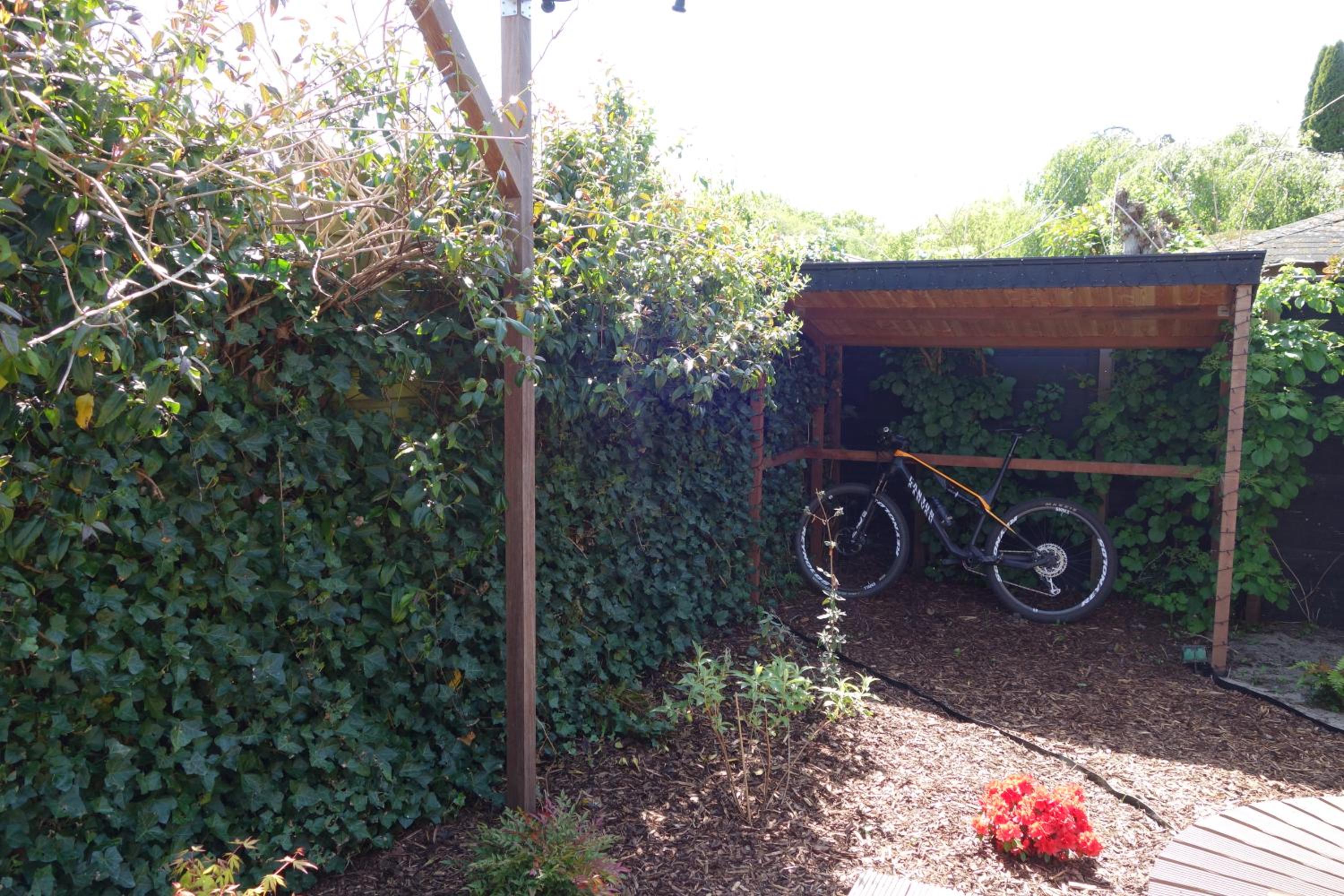 Photo 21