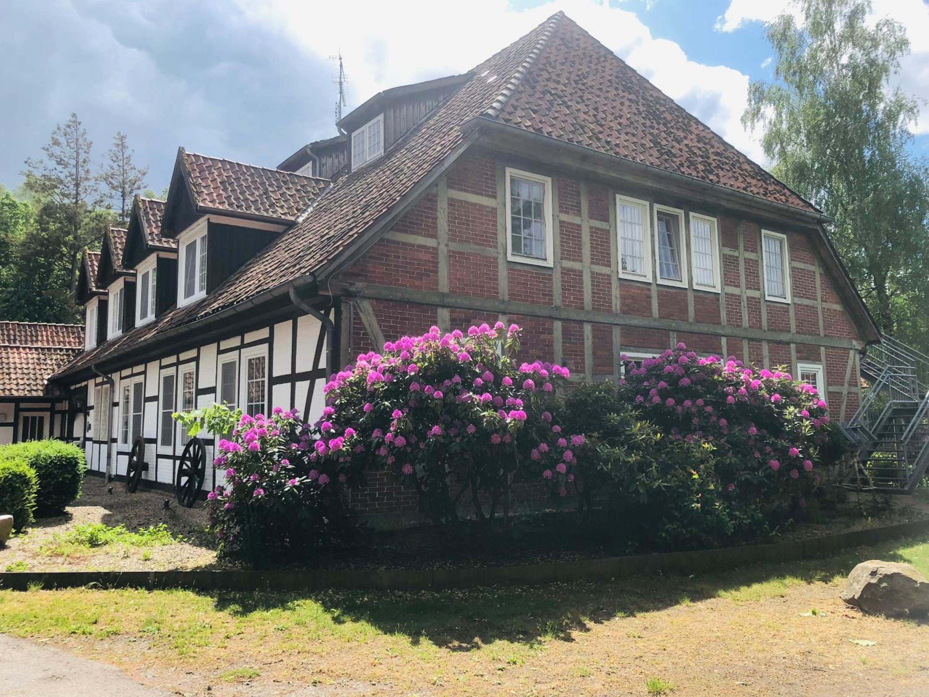 Landhotel Gutshof im Oertzetal in Oldendorf, Sudheide - Property Image 59