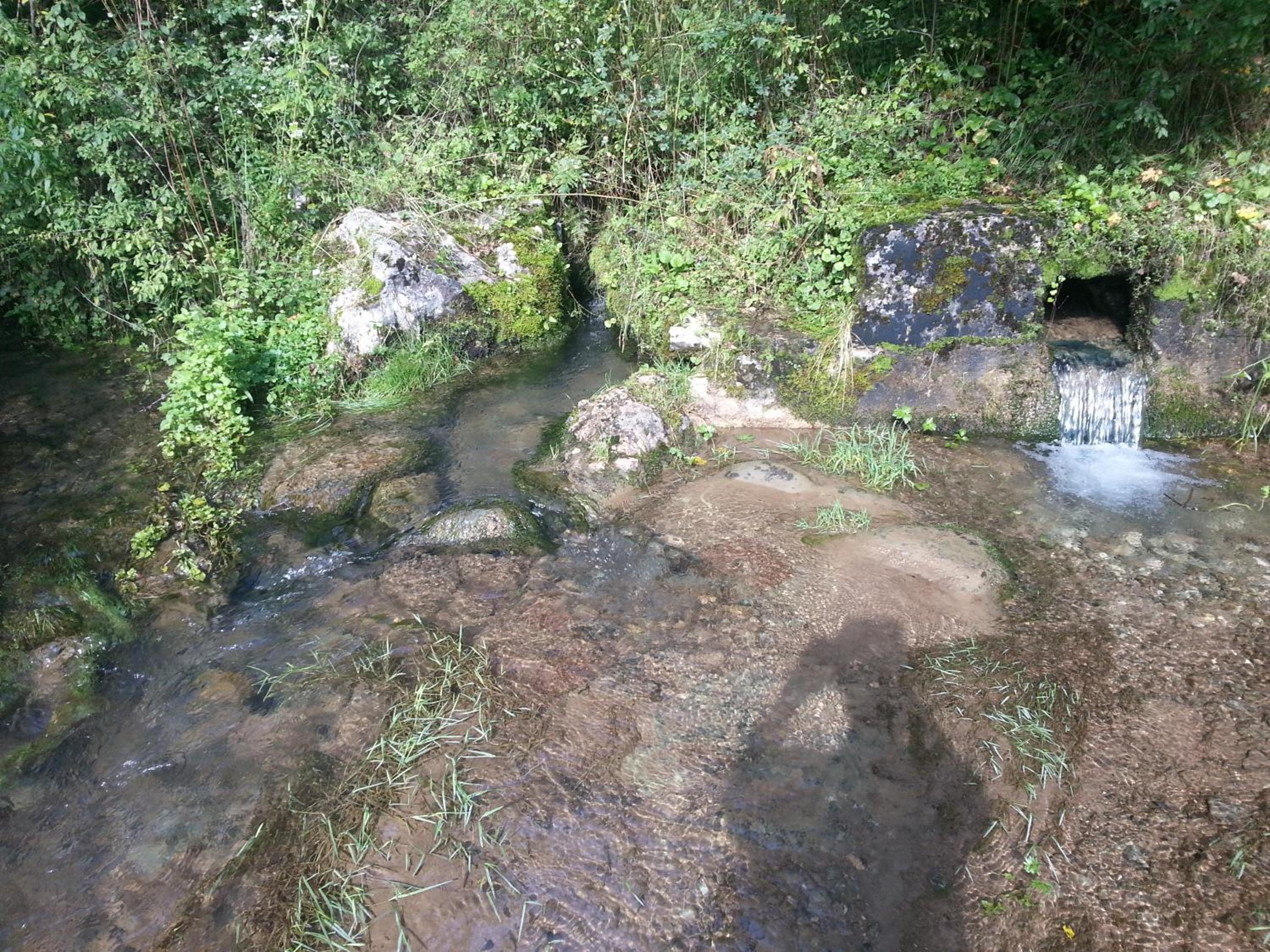Photo 49