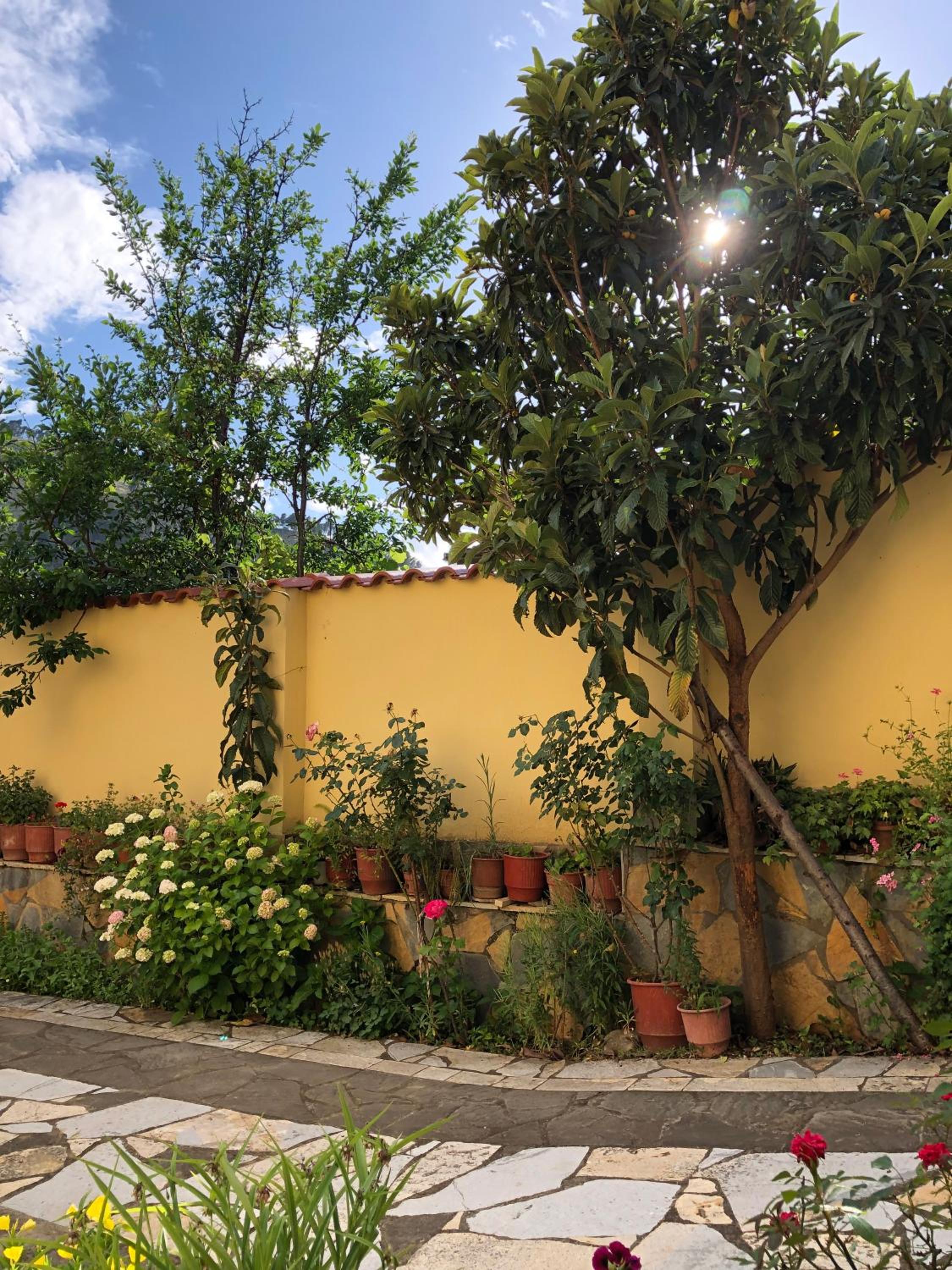 Villa Garden