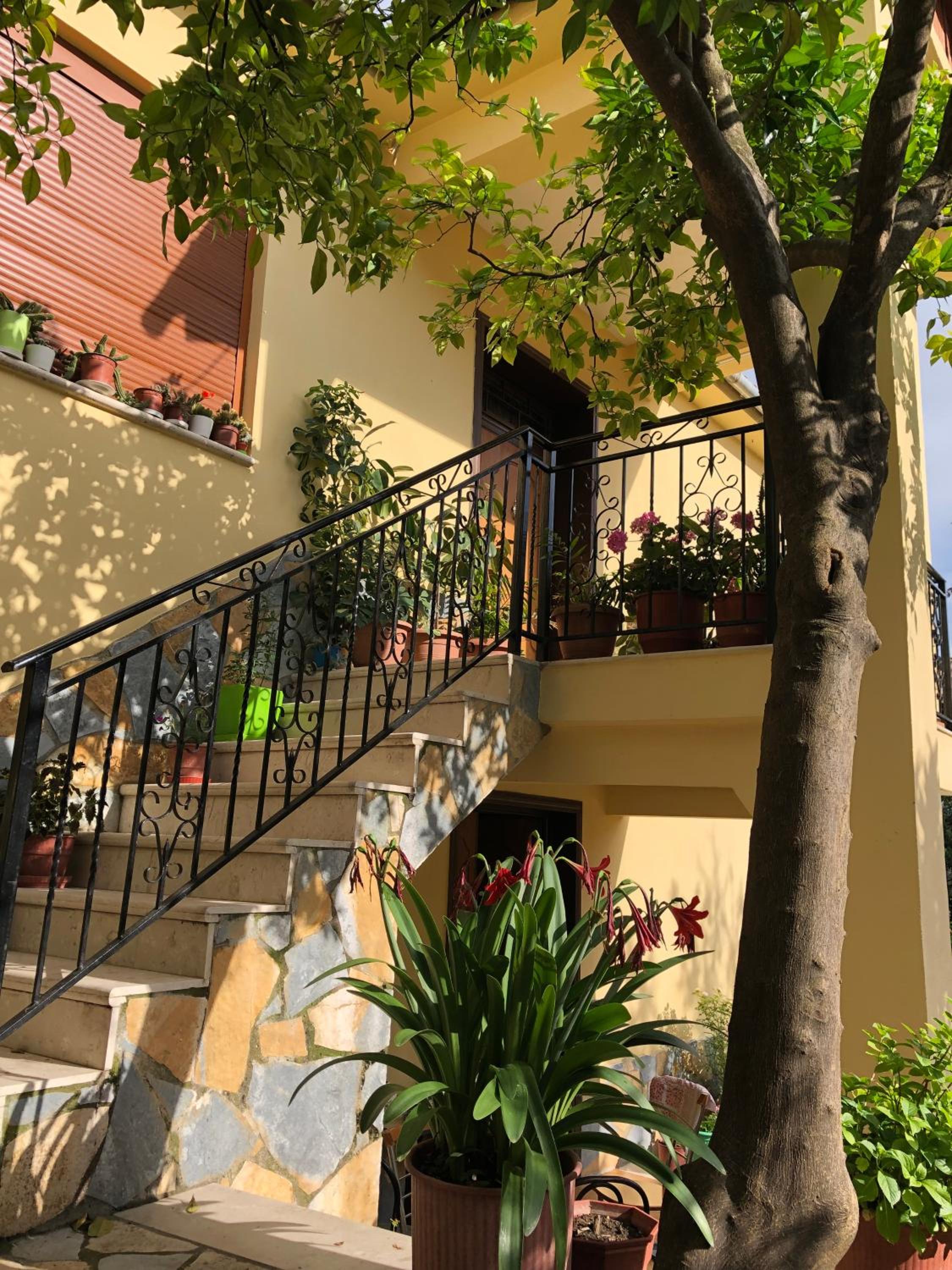 Villa Garden