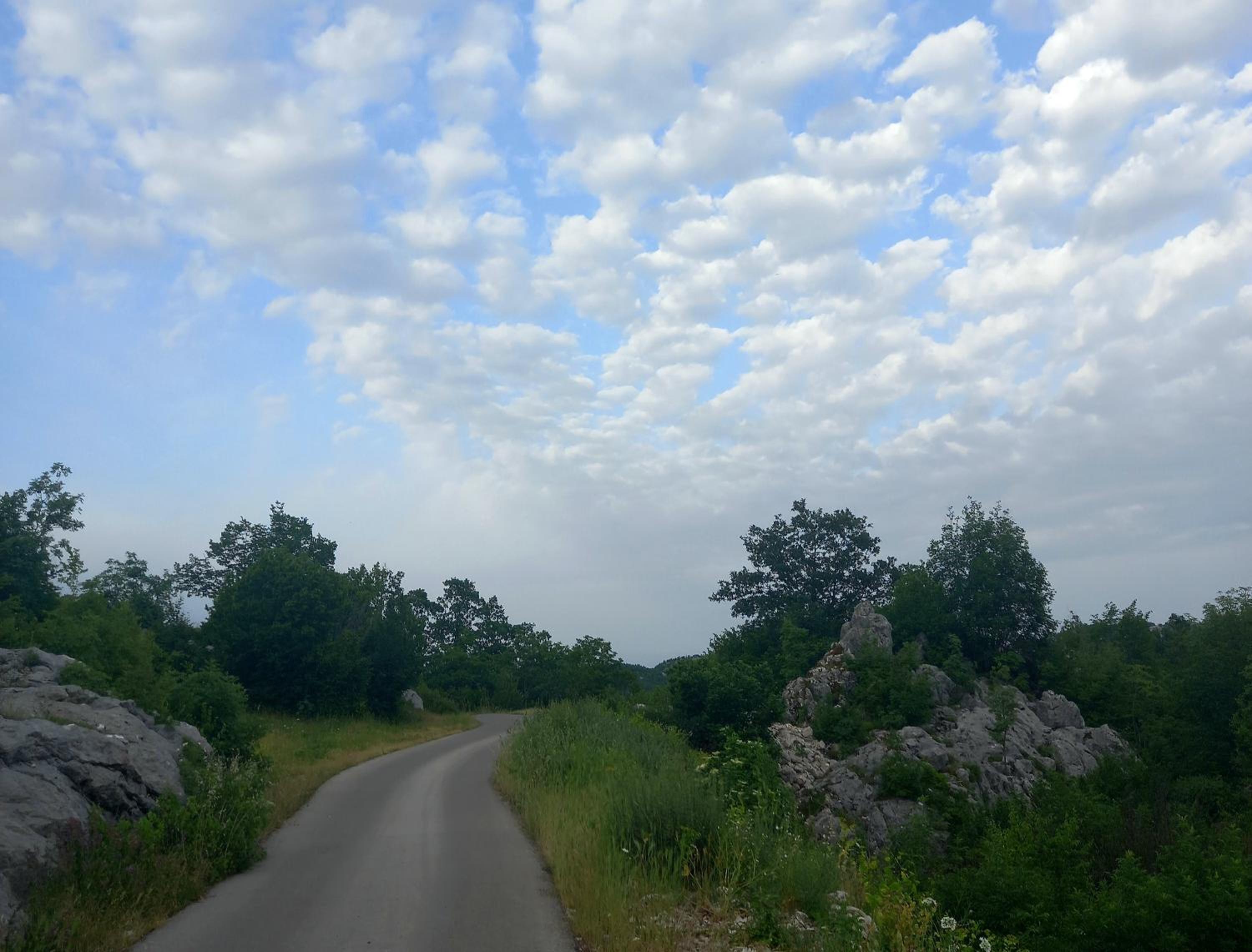Photo 40