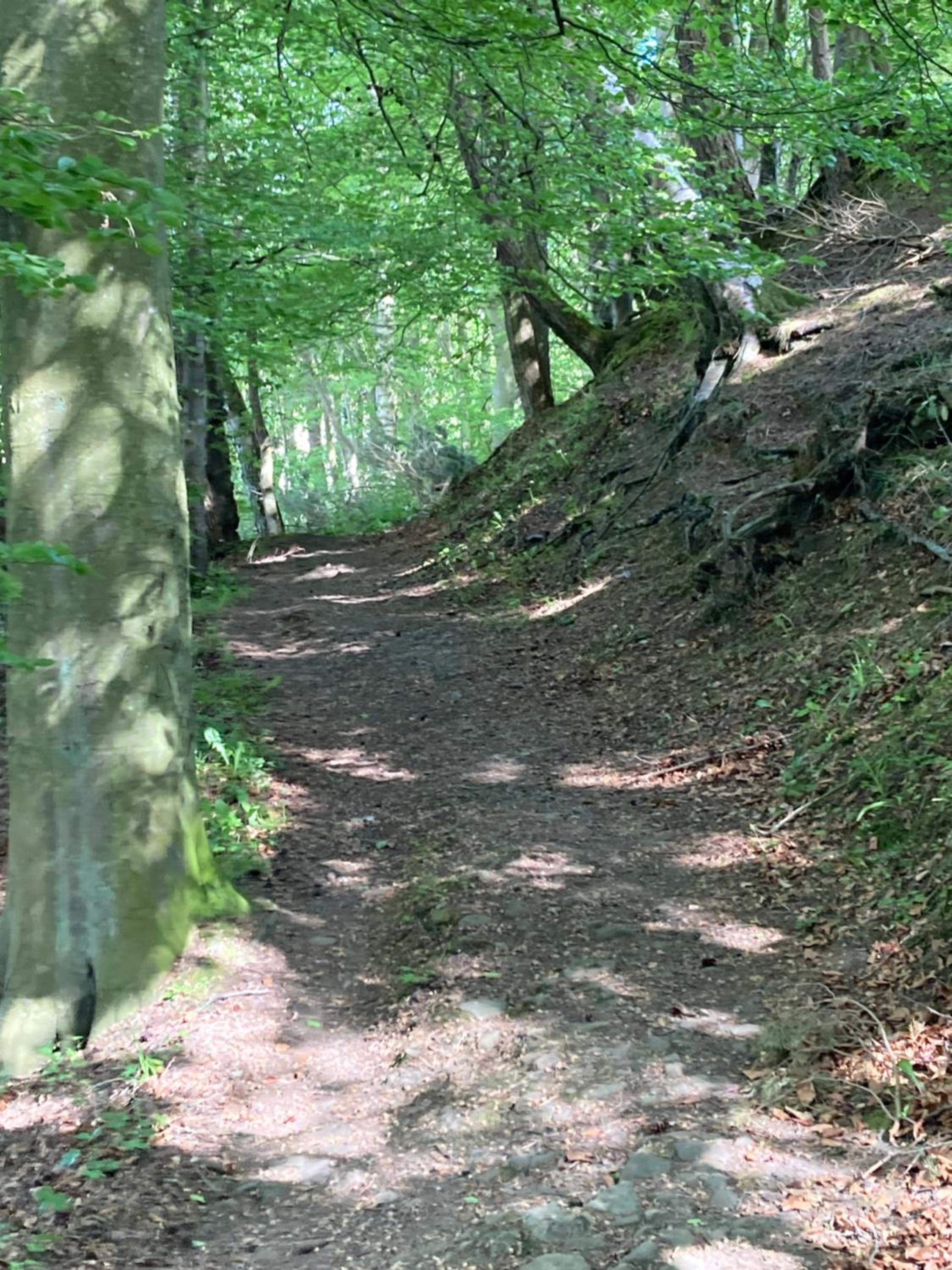 Photo 6