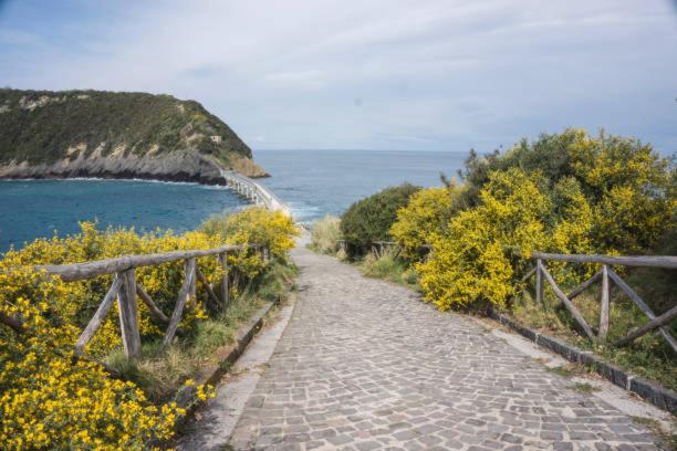 Mezza Torre B&B, photo 14